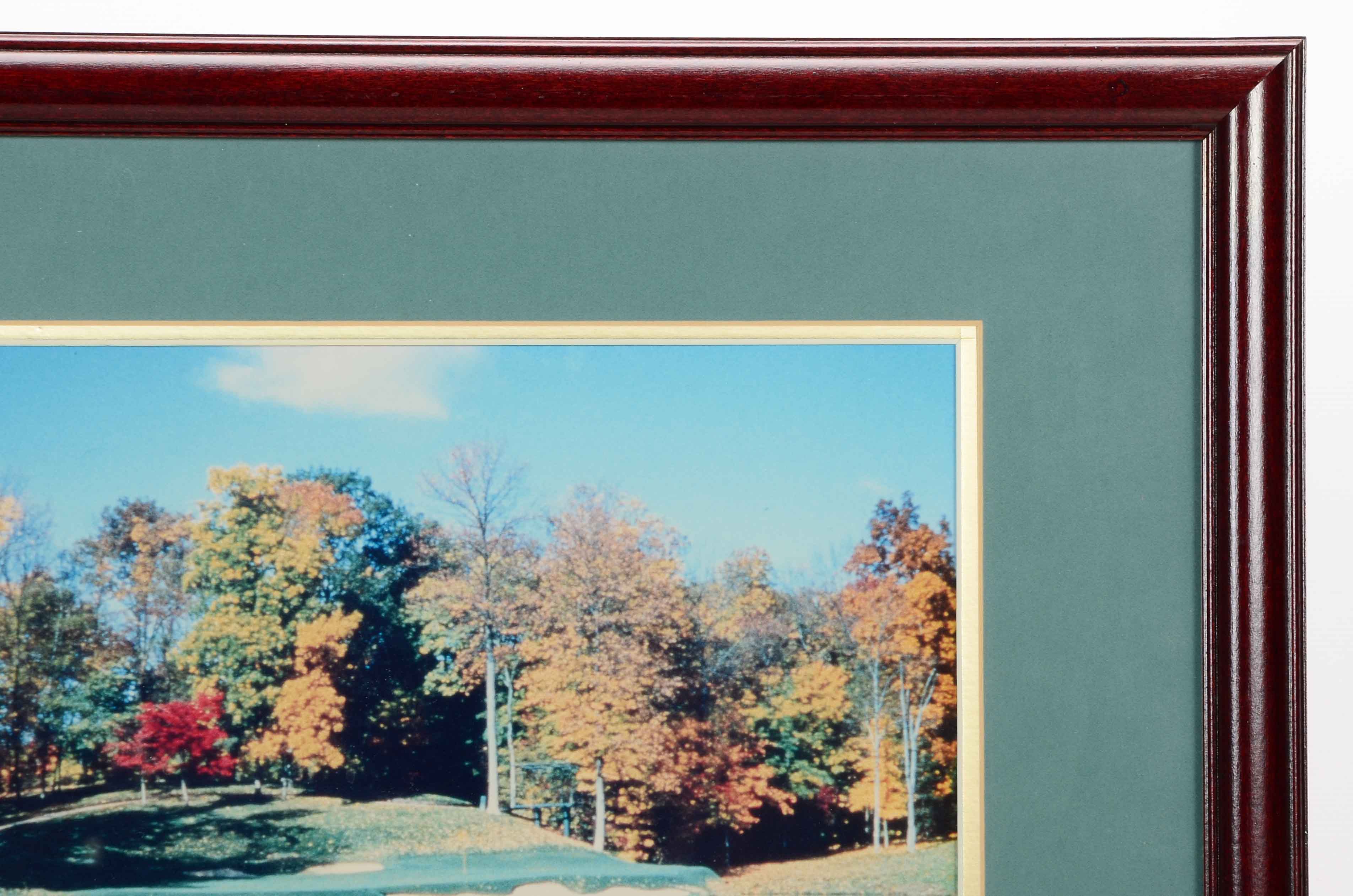 Framed Photo of a Golf Green