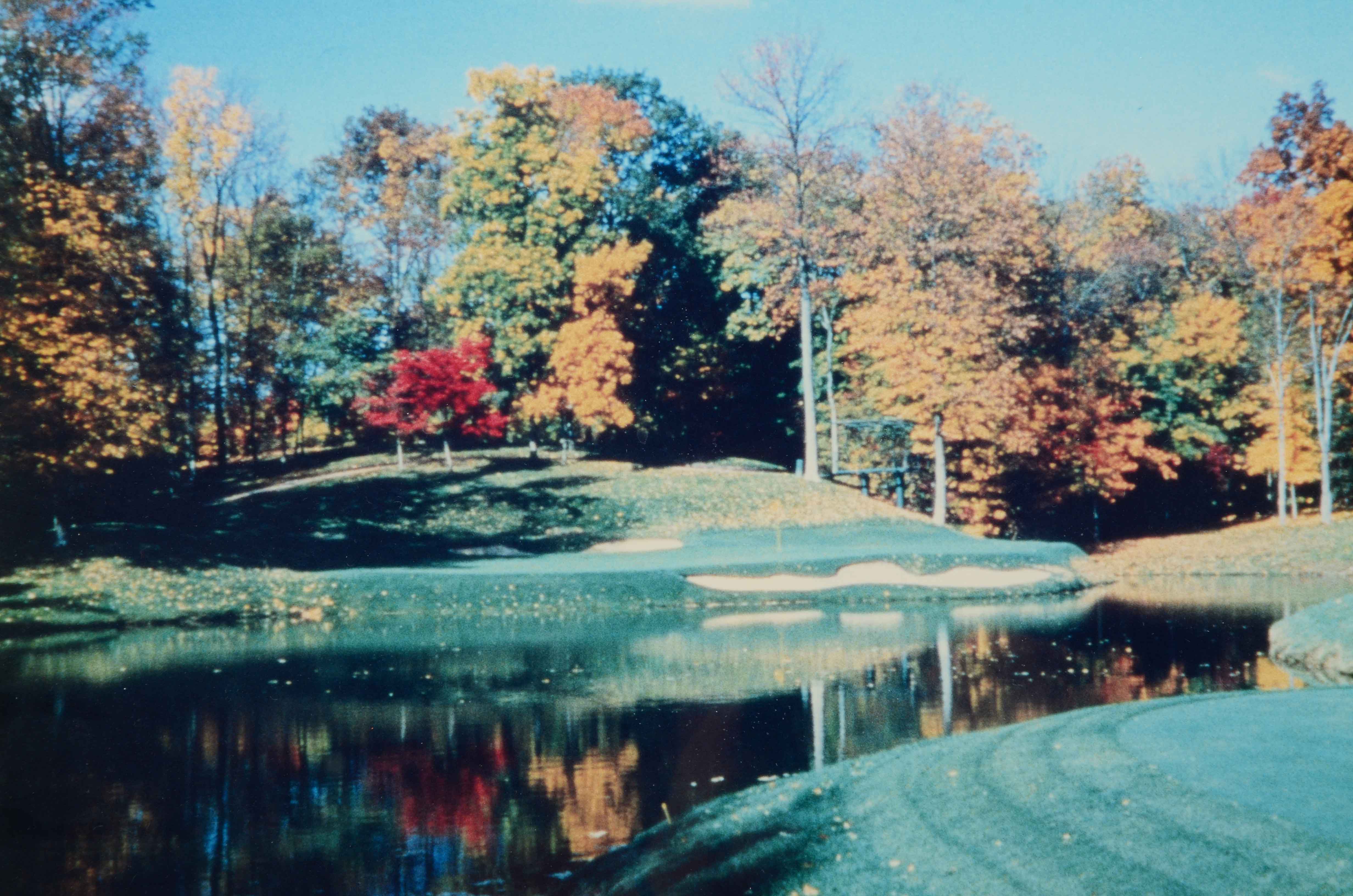 Framed Photo of a Golf Green