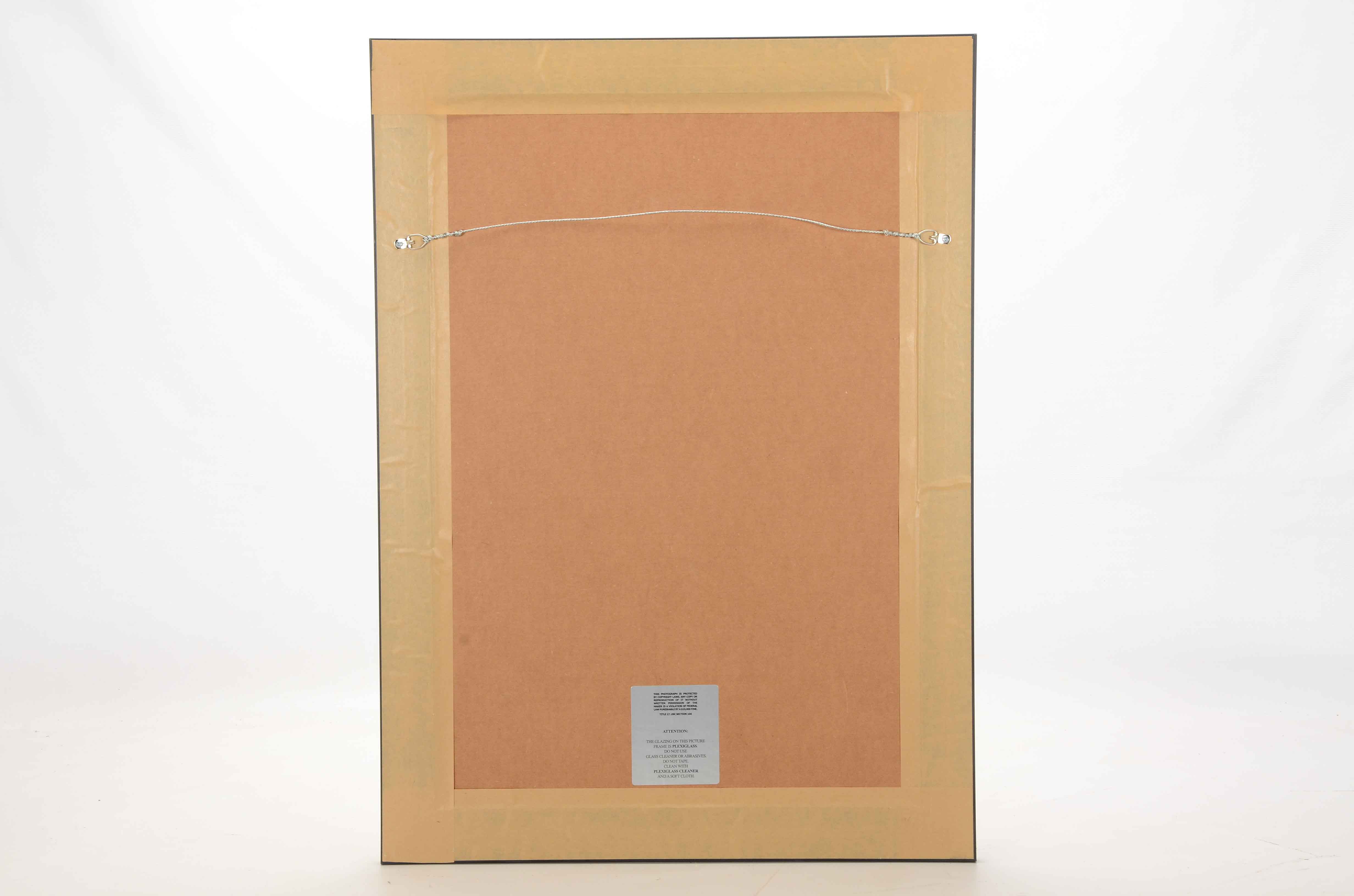 "Masters Champions" Nicklaus, Palmer, and Woods Framed PGA Golf Display