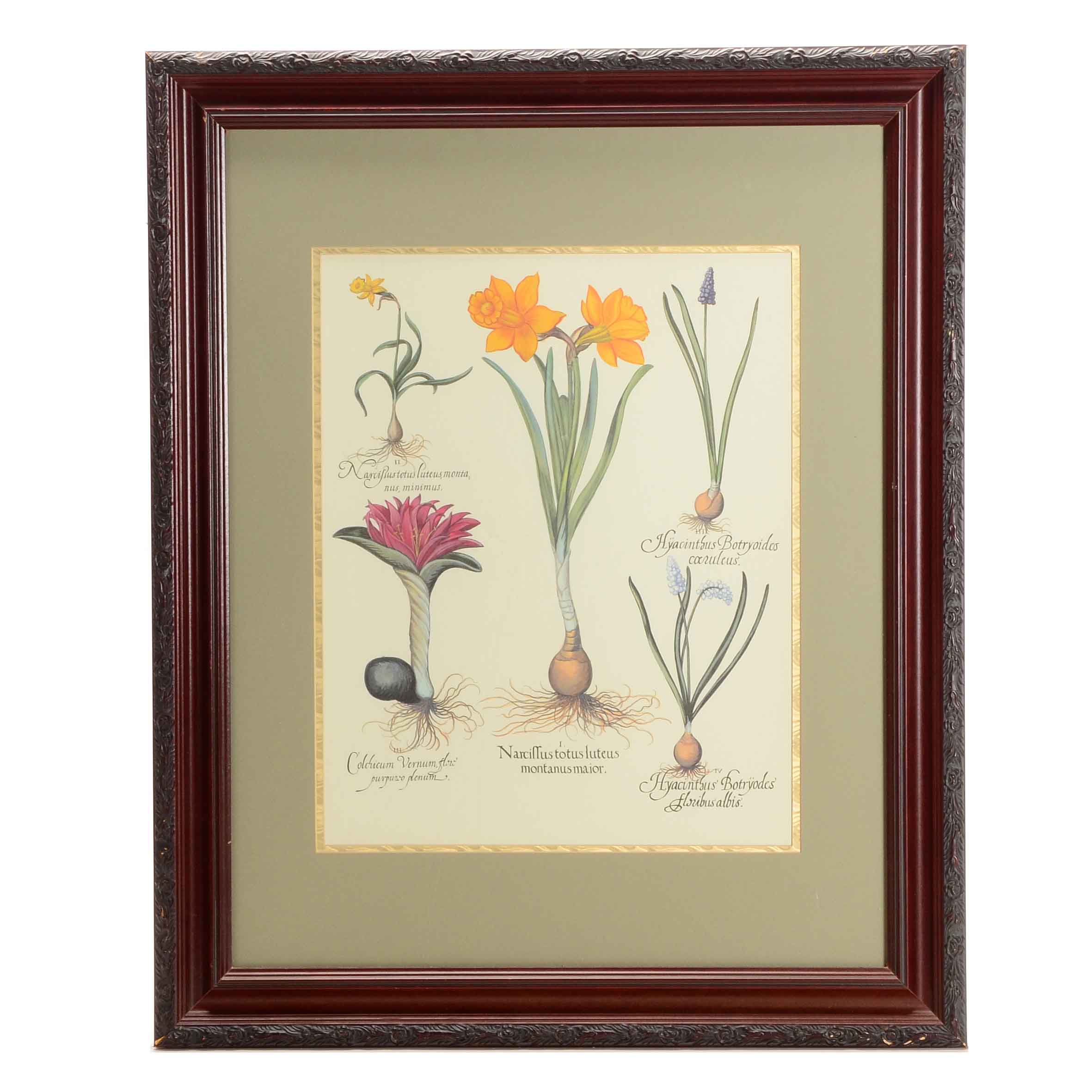 Framed Botanical Print