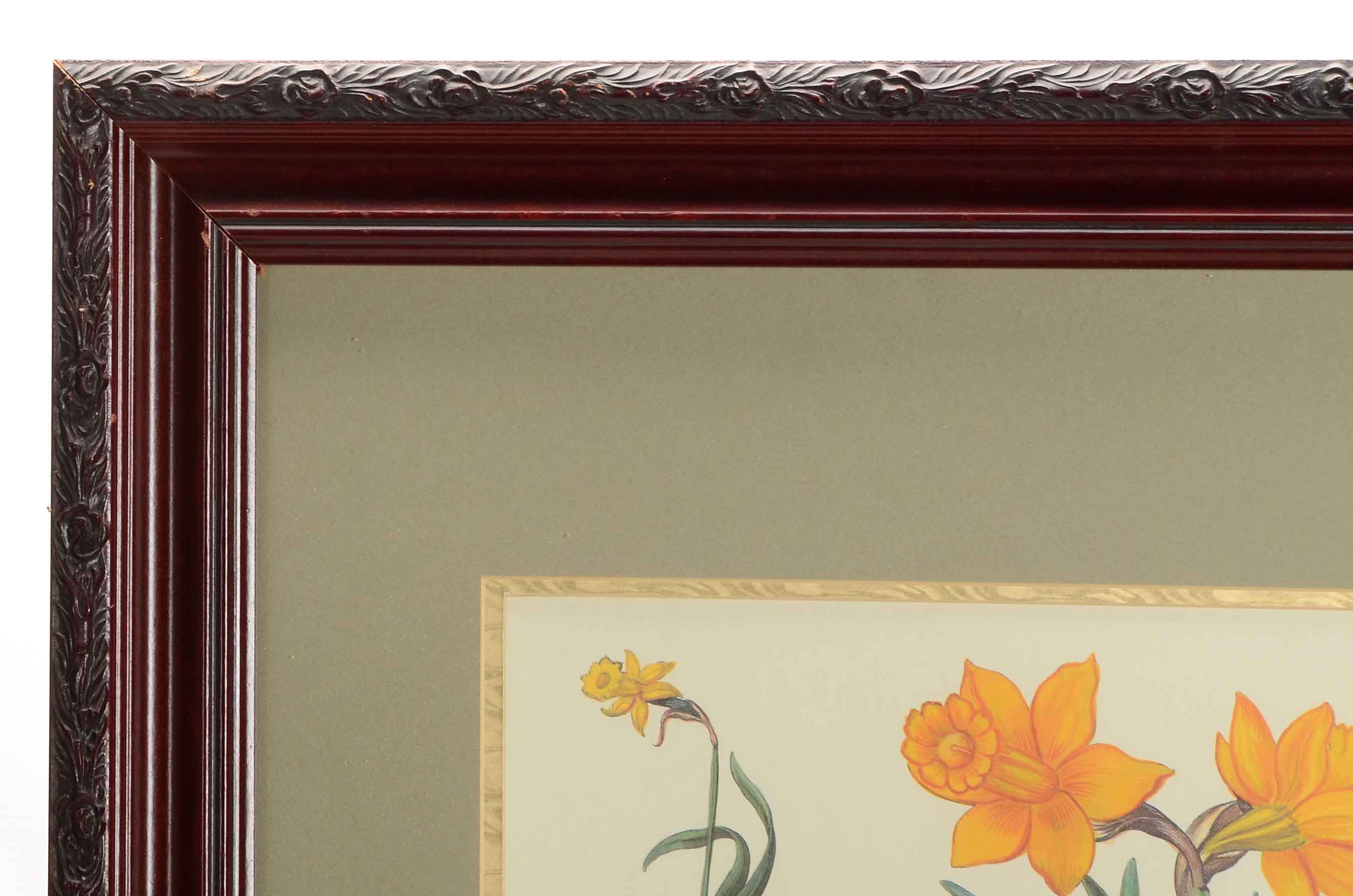 Framed Botanical Print