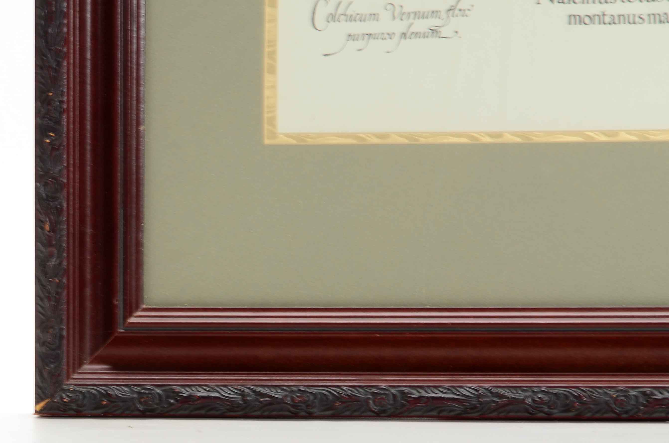 Framed Botanical Print