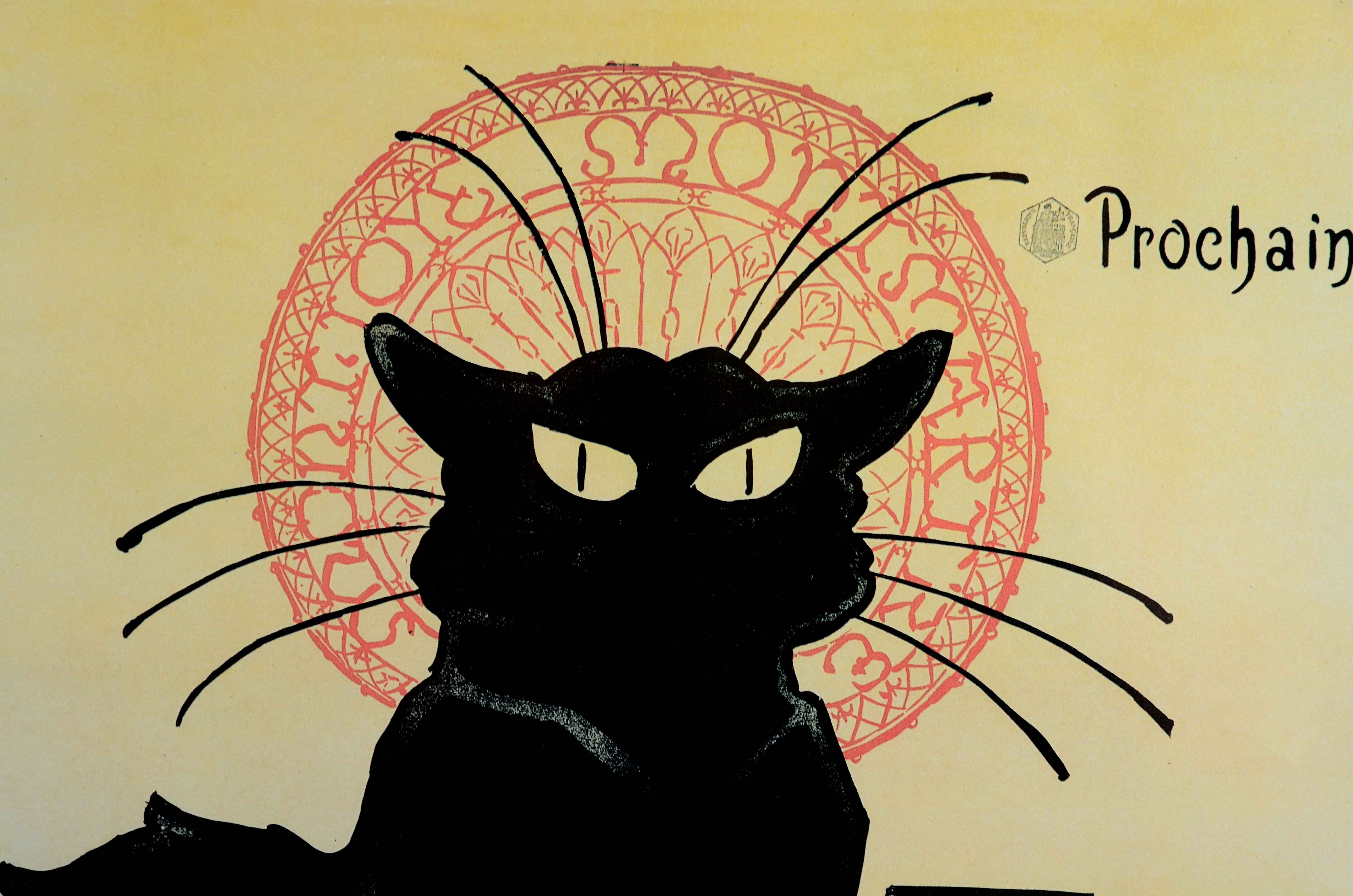 Le Chat Noir Framed Print