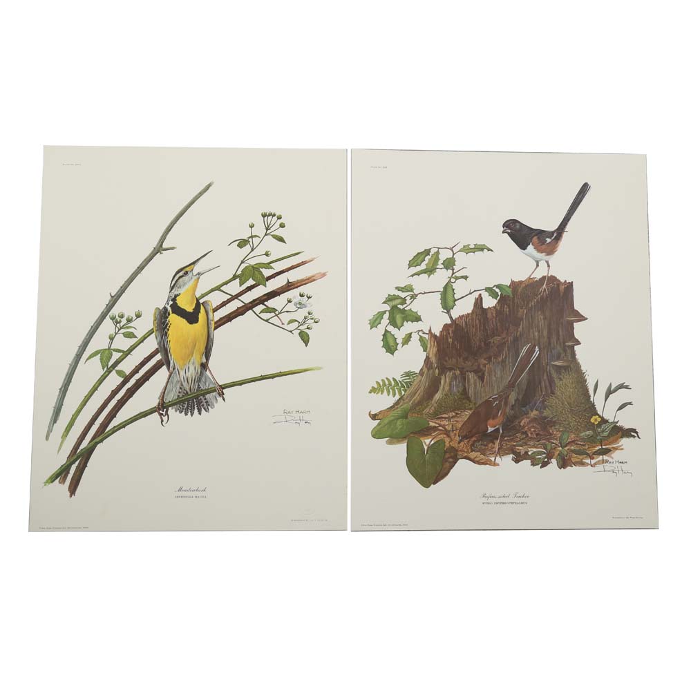 Ray Harm Signed Offset Lithographs