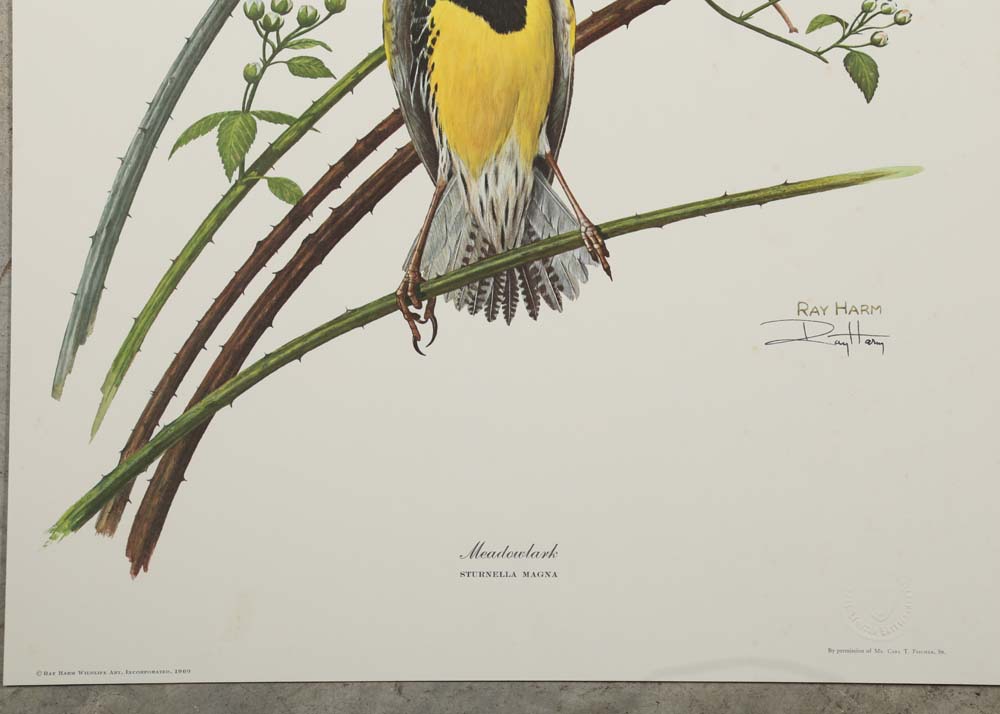 Ray Harm Signed Offset Lithographs