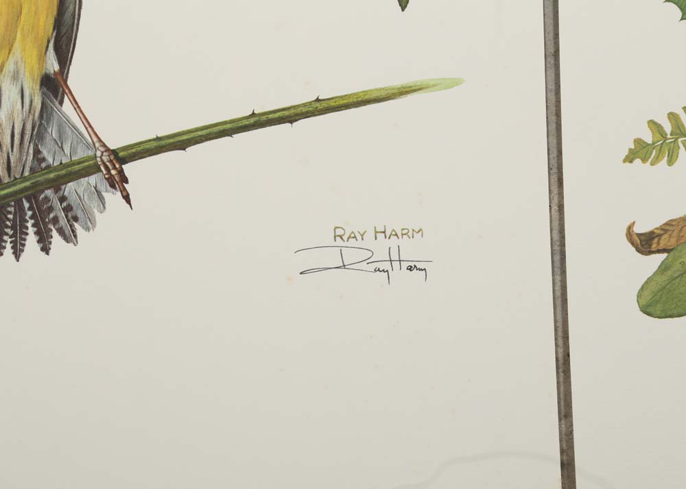 Ray Harm Signed Offset Lithographs