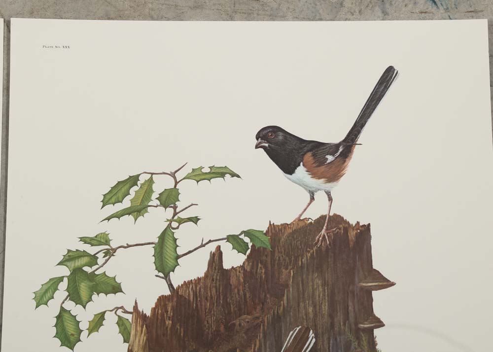 Ray Harm Signed Offset Lithographs