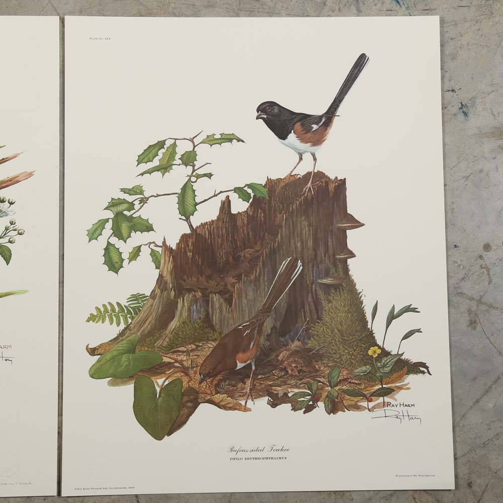 Ray Harm Signed Offset Lithographs