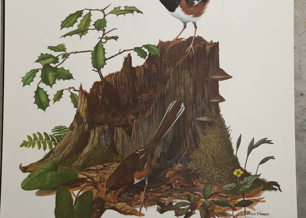 Ray Harm Signed Offset Lithographs