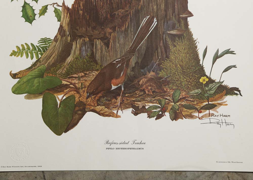 Ray Harm Signed Offset Lithographs