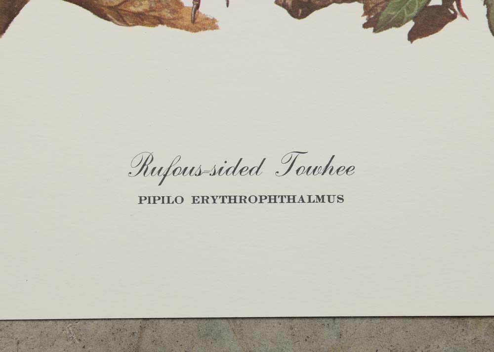 Ray Harm Signed Offset Lithographs