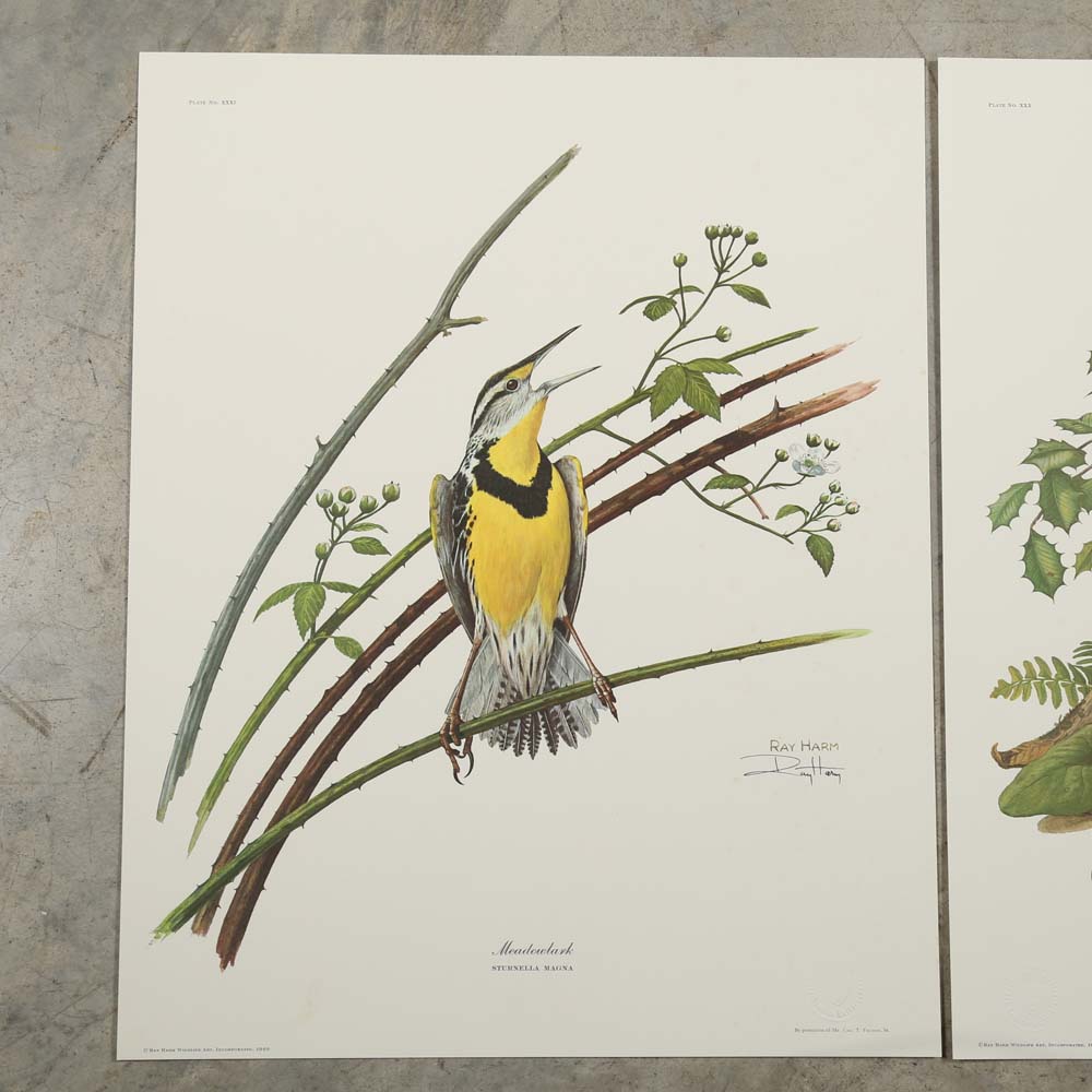 Ray Harm Signed Offset Lithographs