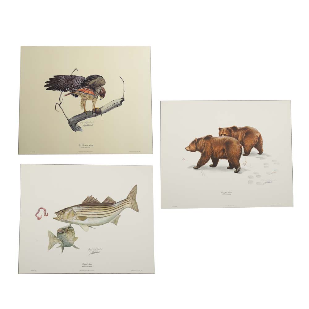 Guy Coheleach Signed Offset Lithographs