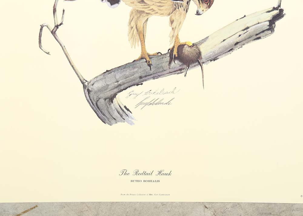 Guy Coheleach Signed Offset Lithographs