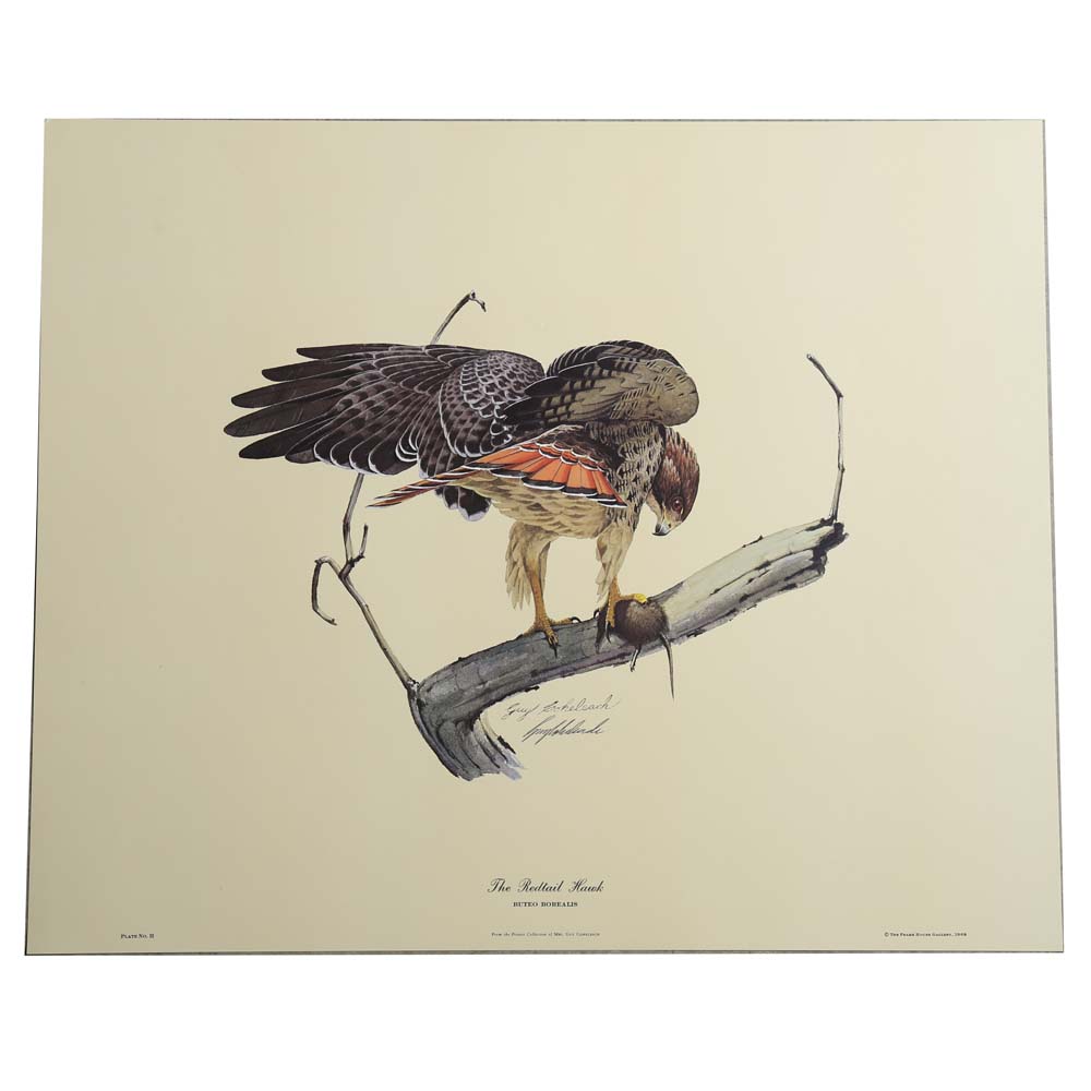 Guy Coheleach Signed Offset Lithographs