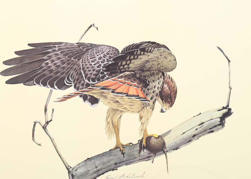 Guy Coheleach Signed Offset Lithographs