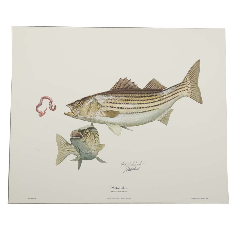 Guy Coheleach Signed Offset Lithographs