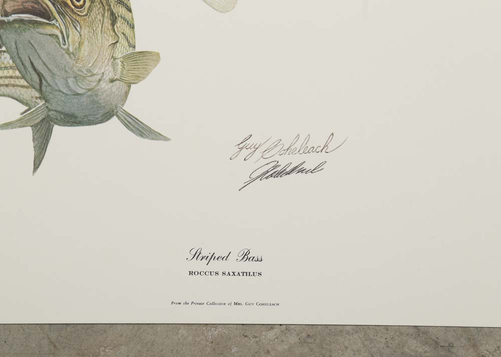 Guy Coheleach Signed Offset Lithographs