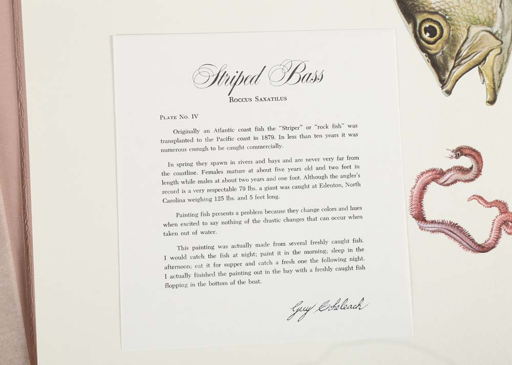 Guy Coheleach Signed Offset Lithographs