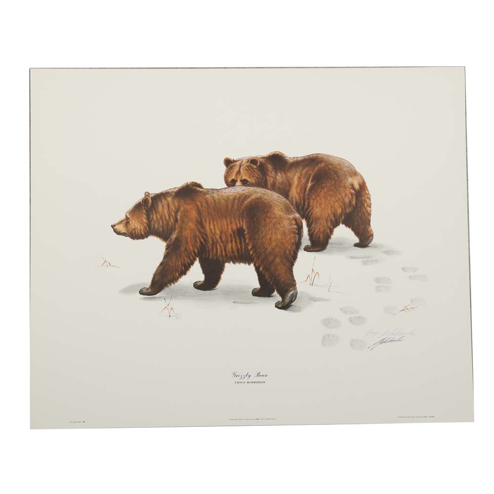 Guy Coheleach Signed Offset Lithographs