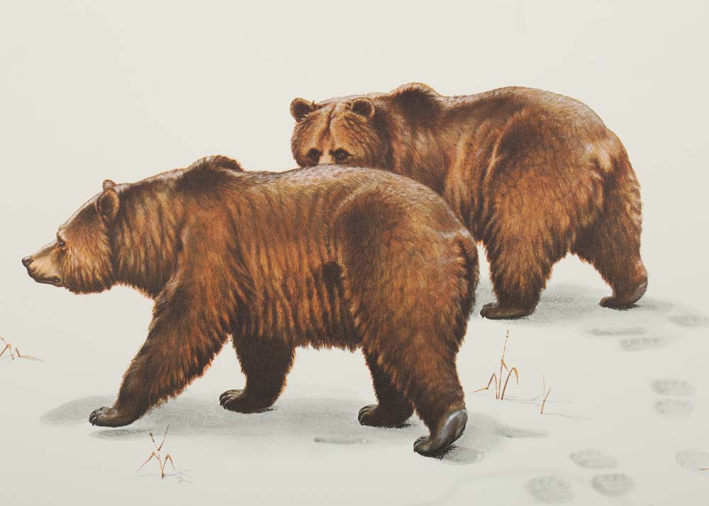 Guy Coheleach Signed Offset Lithographs