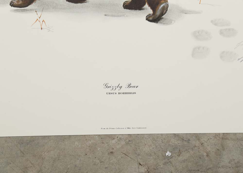 Guy Coheleach Signed Offset Lithographs