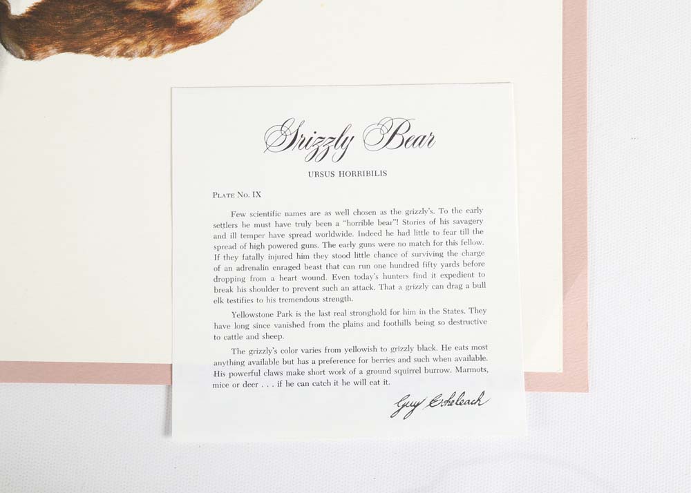 Guy Coheleach Signed Offset Lithographs