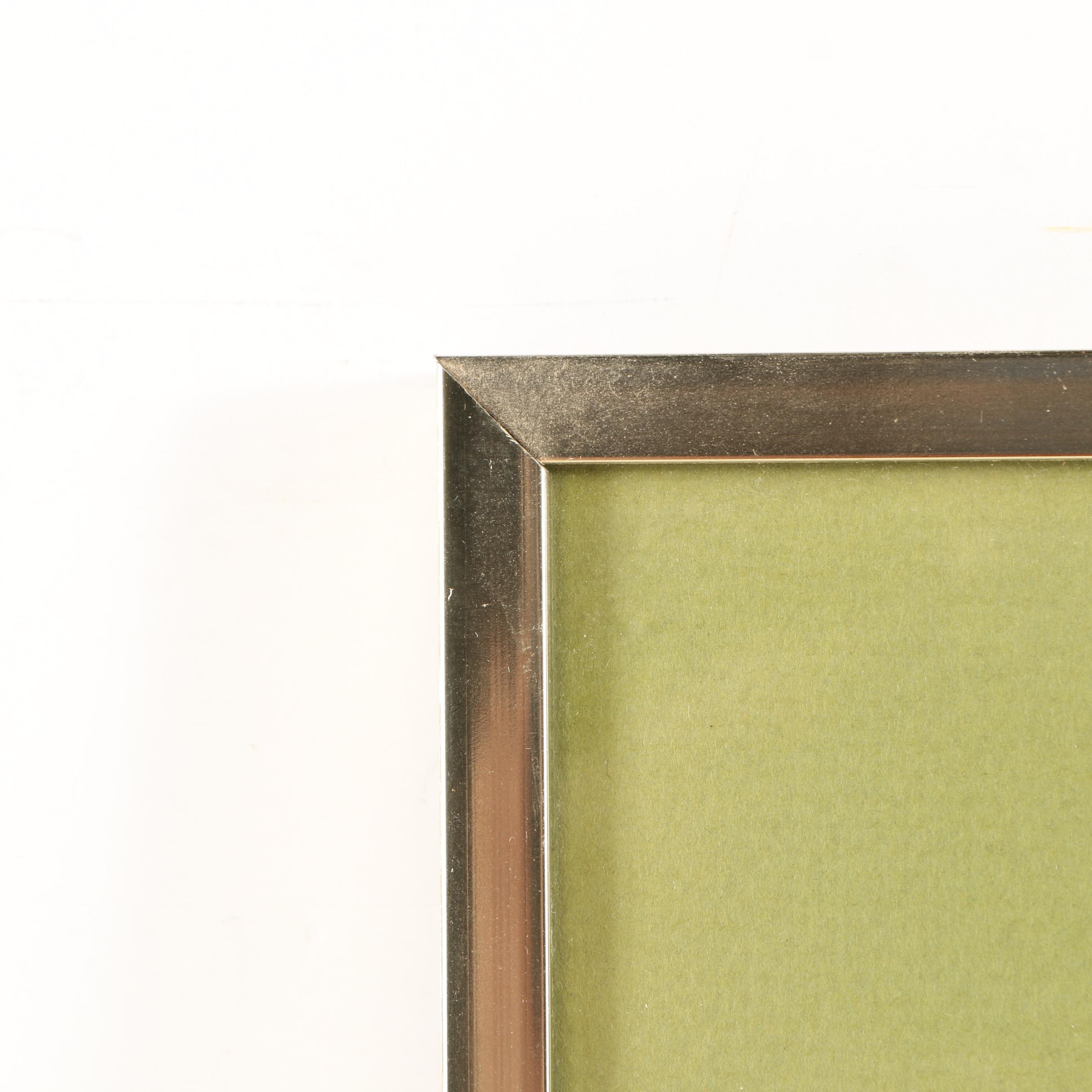 Watercolor and Gouache Paintings of Scenes From Nature