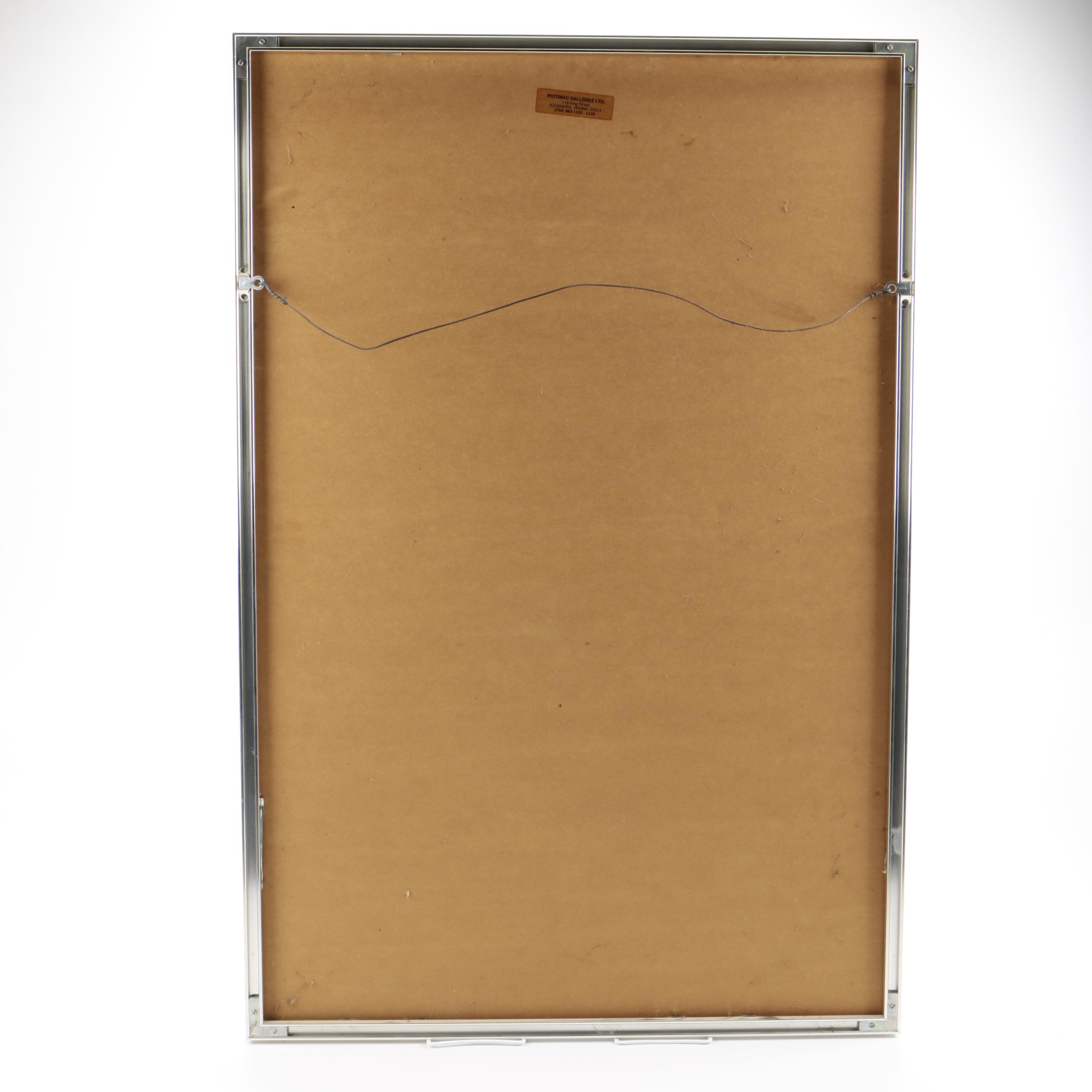 Offset Lithograph After J. Checchi of Washington D.C.