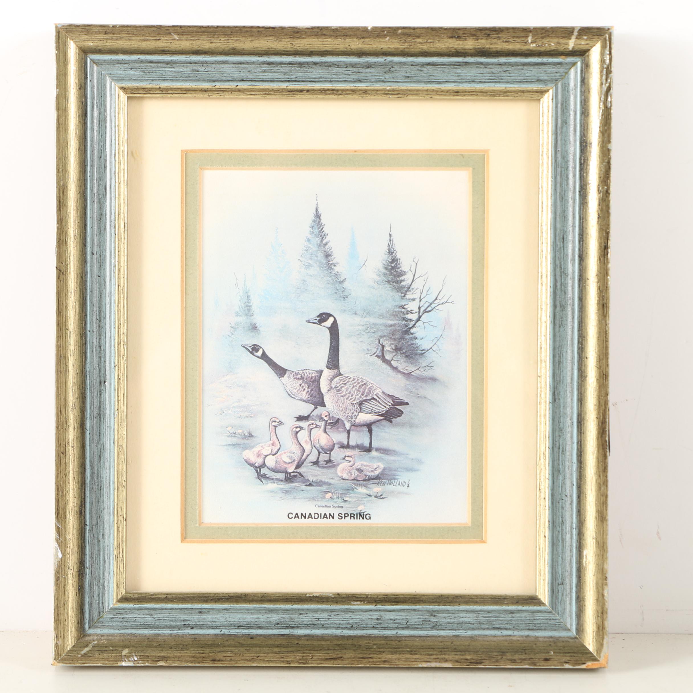 Offset Lithographs of Birds Featuring "Canadian Spring" After Ken Holland