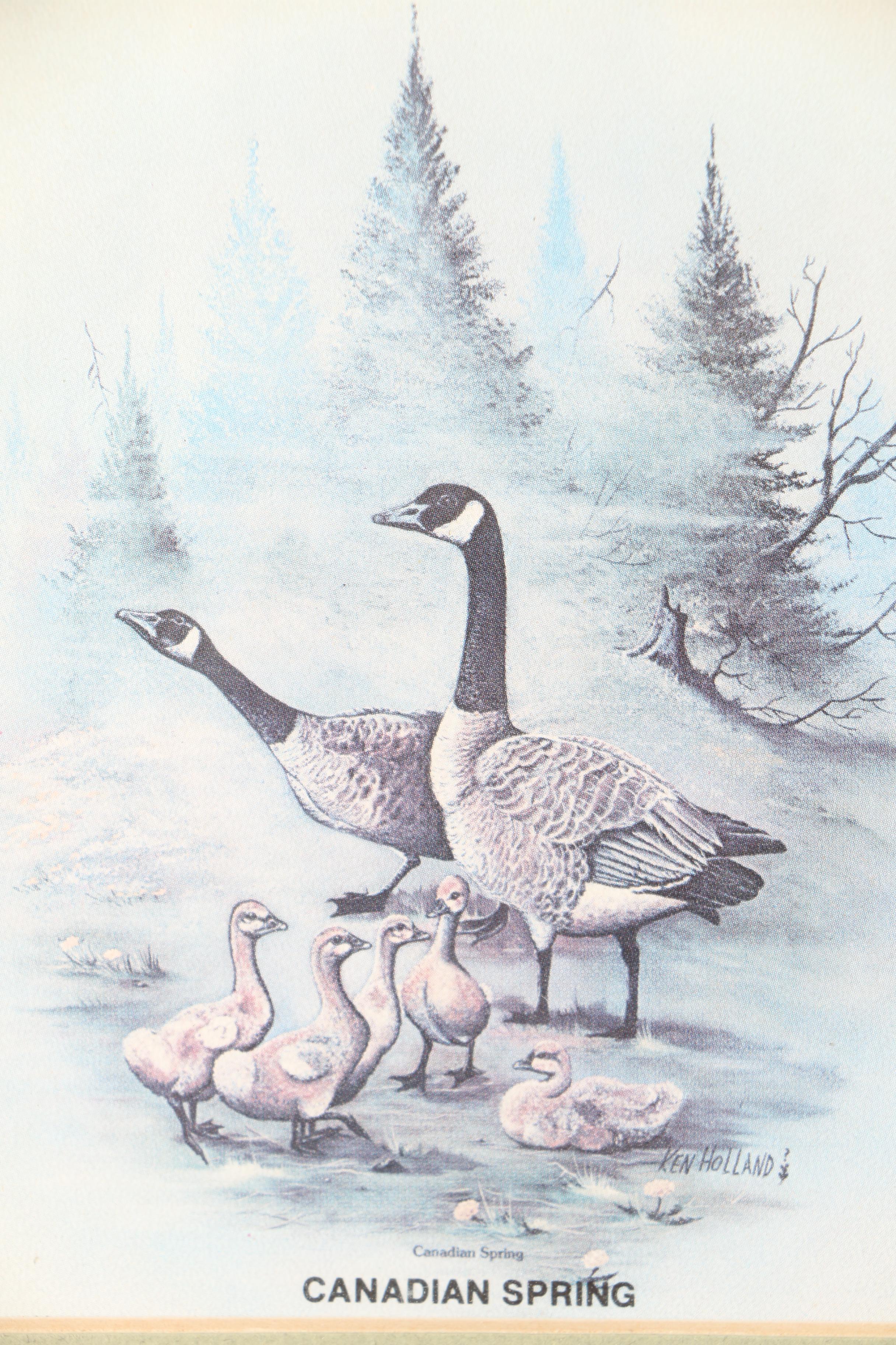 Offset Lithographs of Birds Featuring "Canadian Spring" After Ken Holland