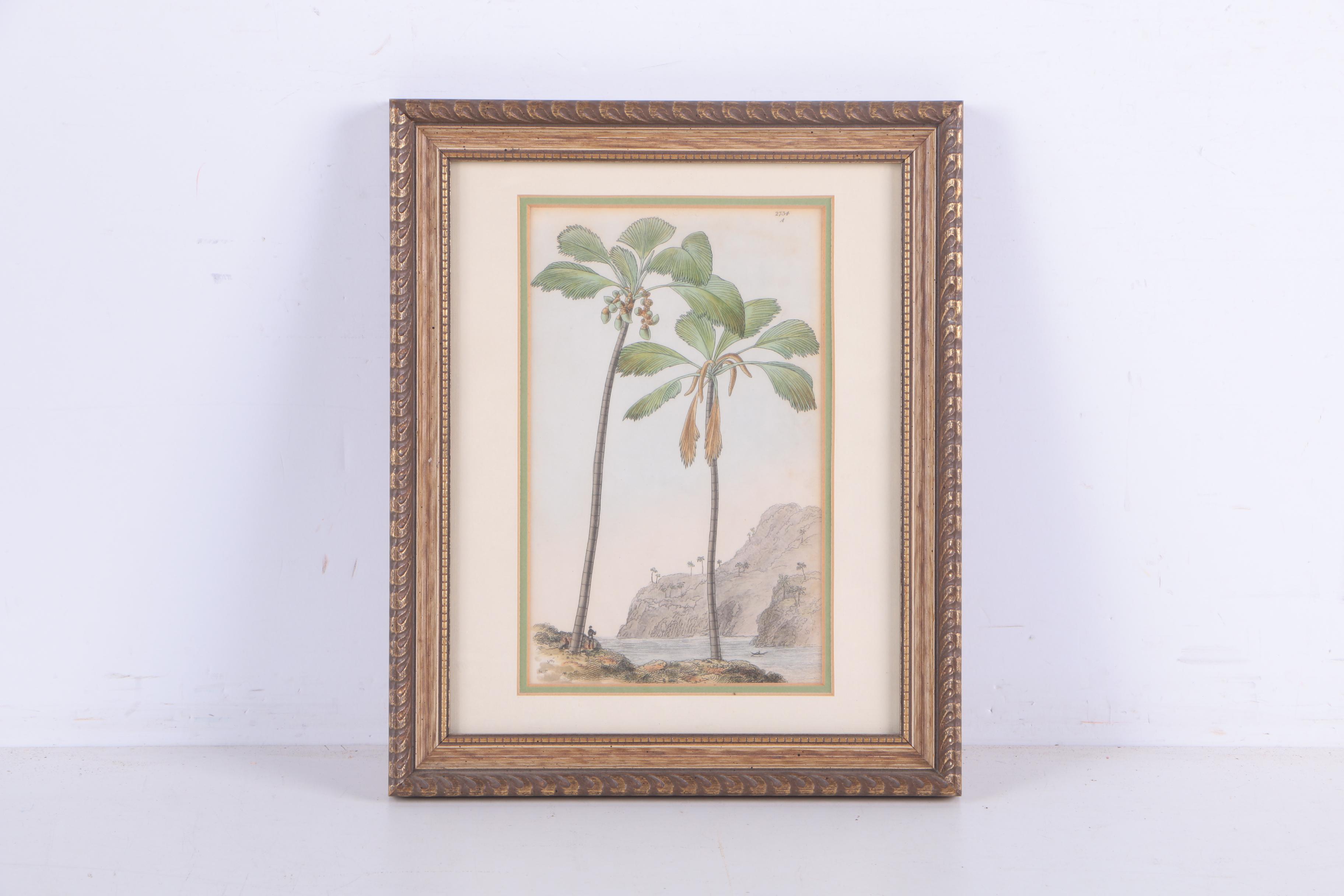 Hand-Colored Engravings of Palm Trees and Dogs