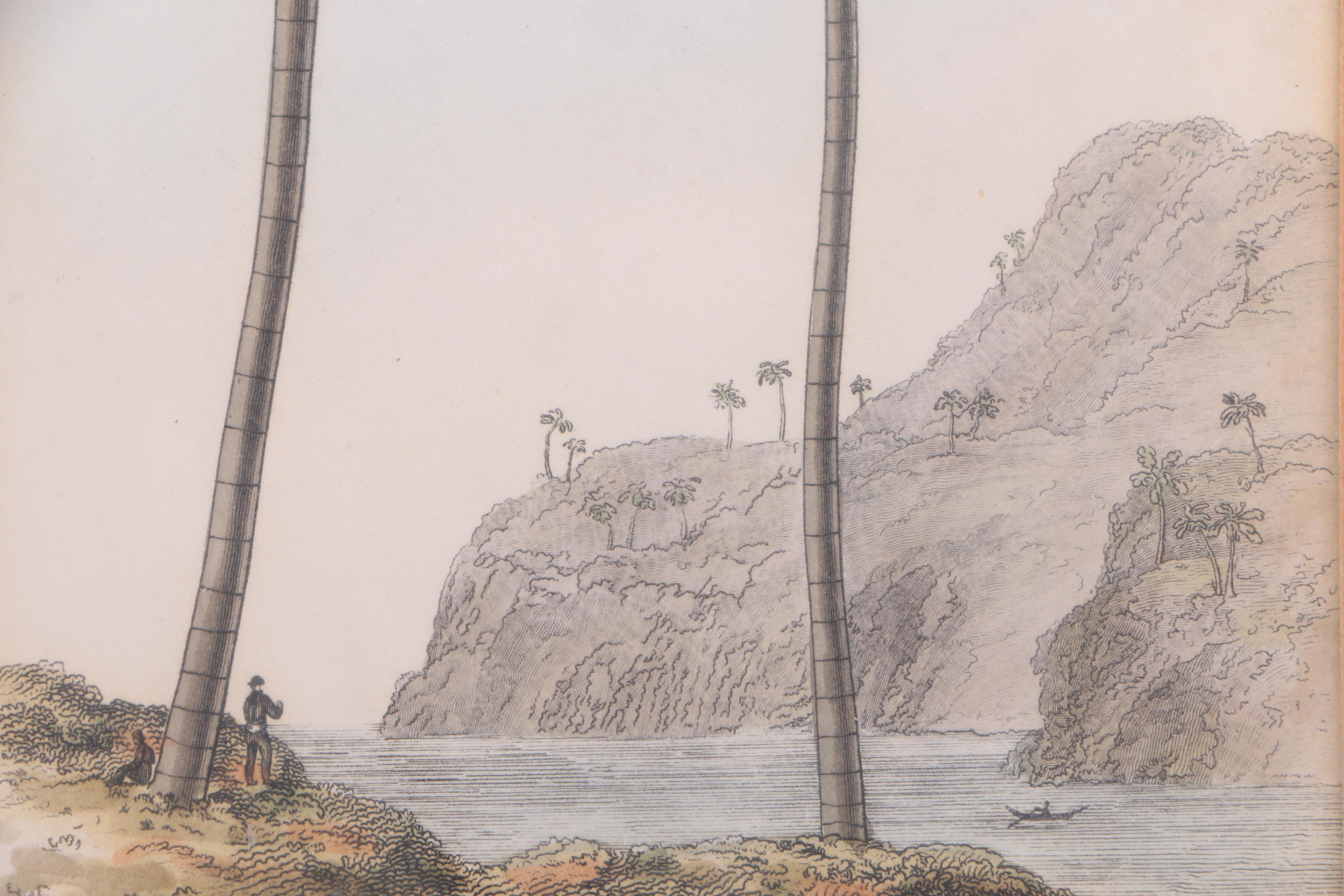 Hand-Colored Engravings of Palm Trees and Dogs