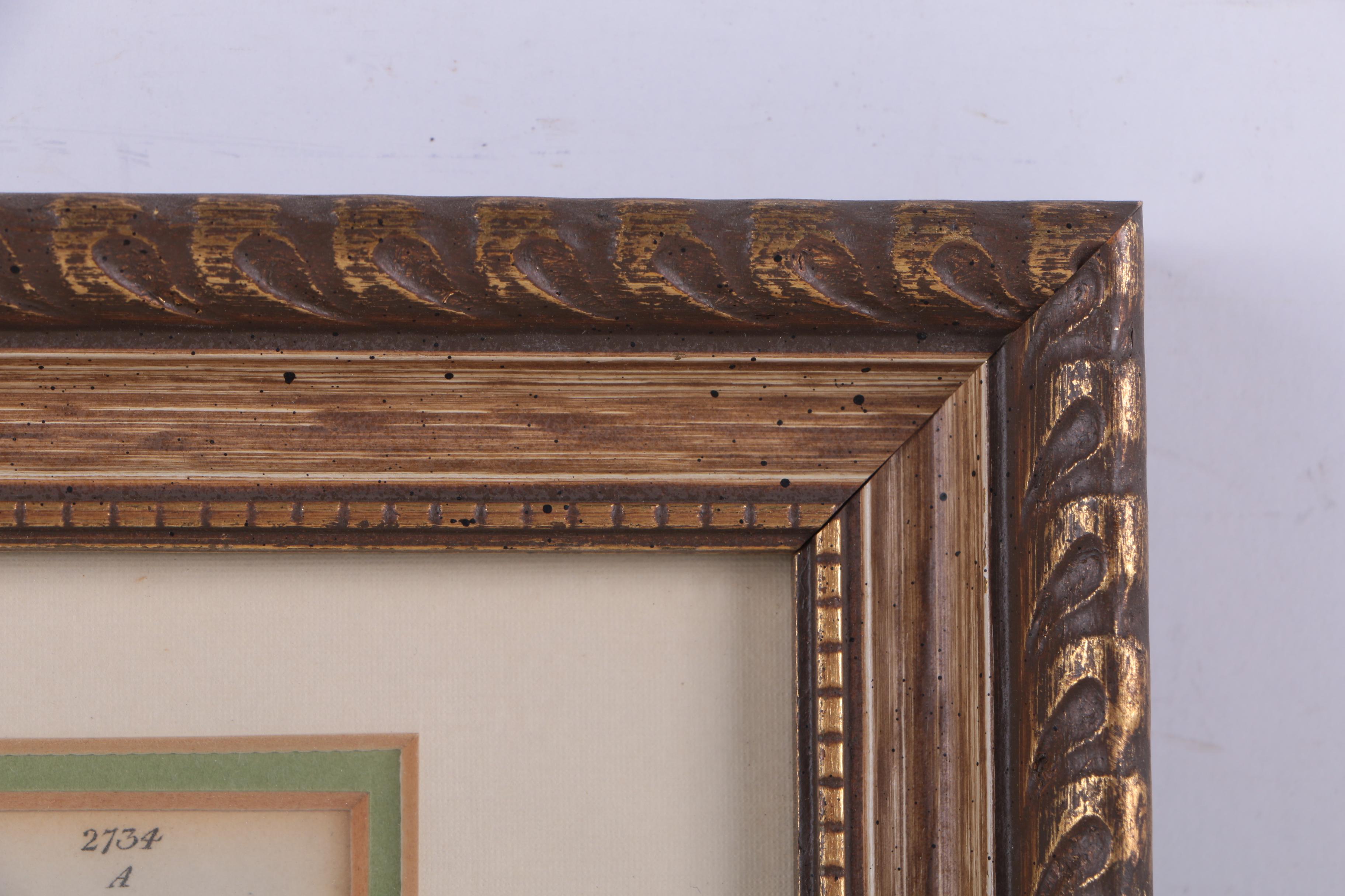 Hand-Colored Engravings of Palm Trees and Dogs