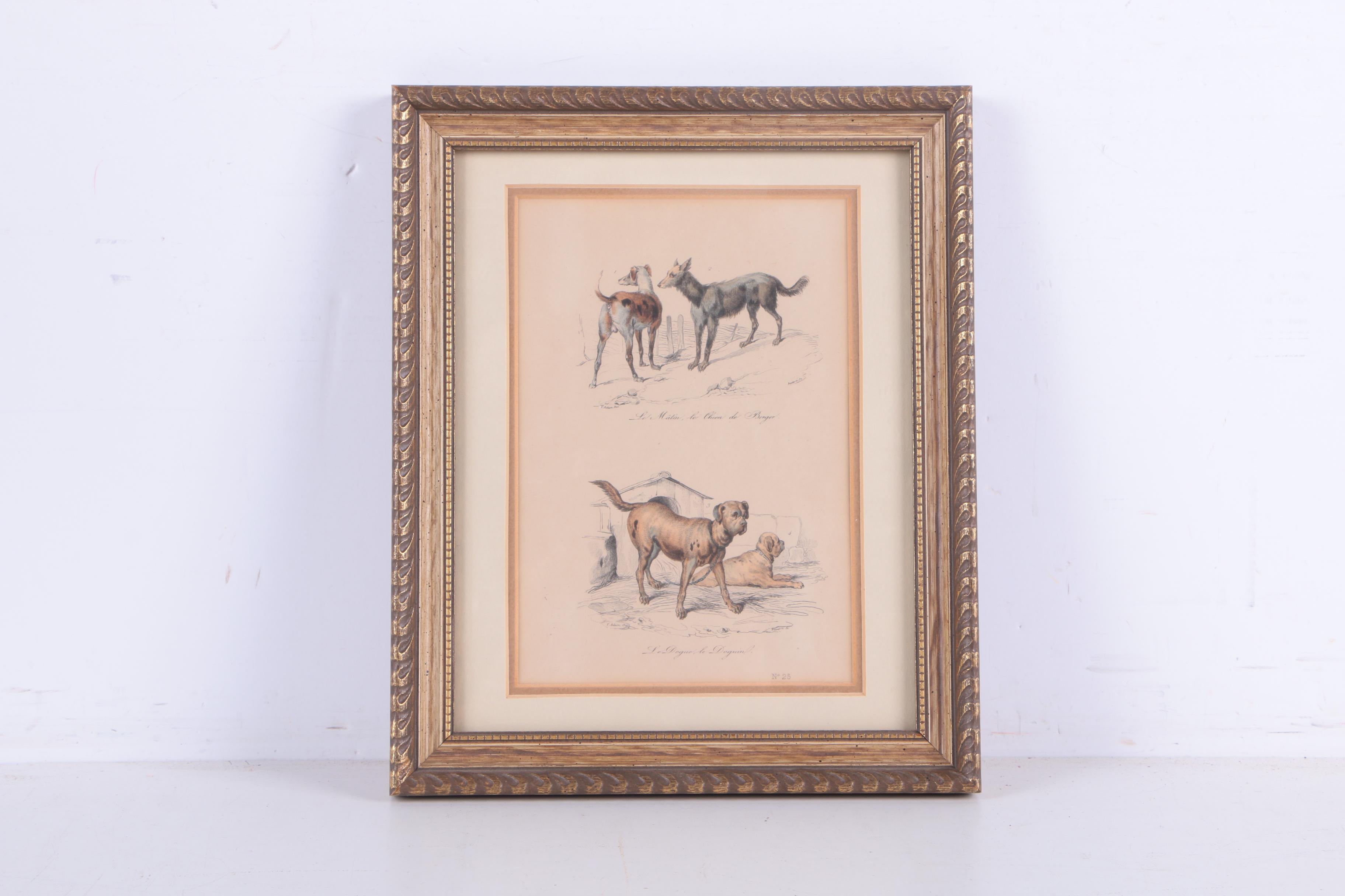 Hand-Colored Engravings of Palm Trees and Dogs