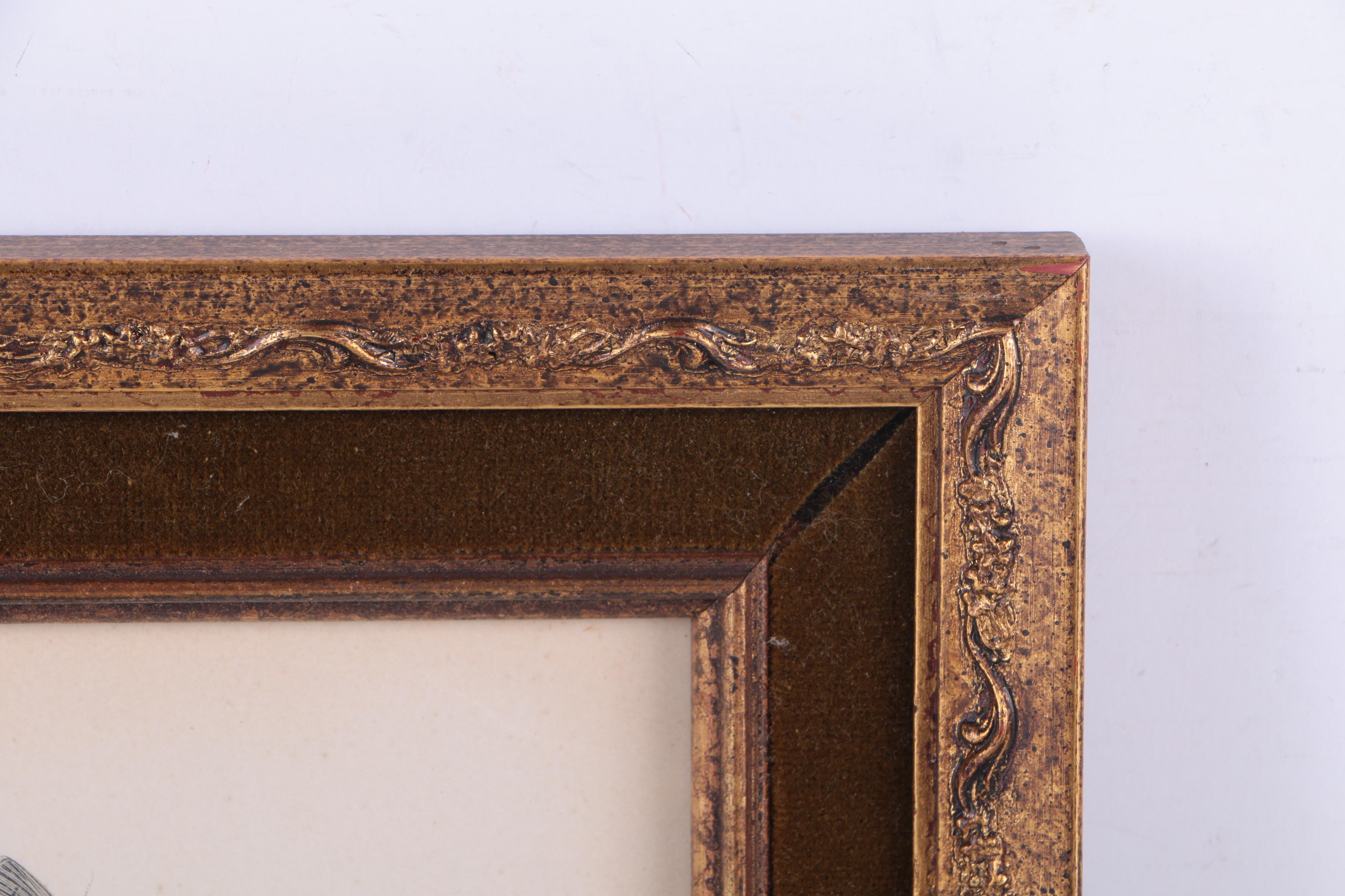 Hand Colored Lithographs of Botanical Studies and Butterflies