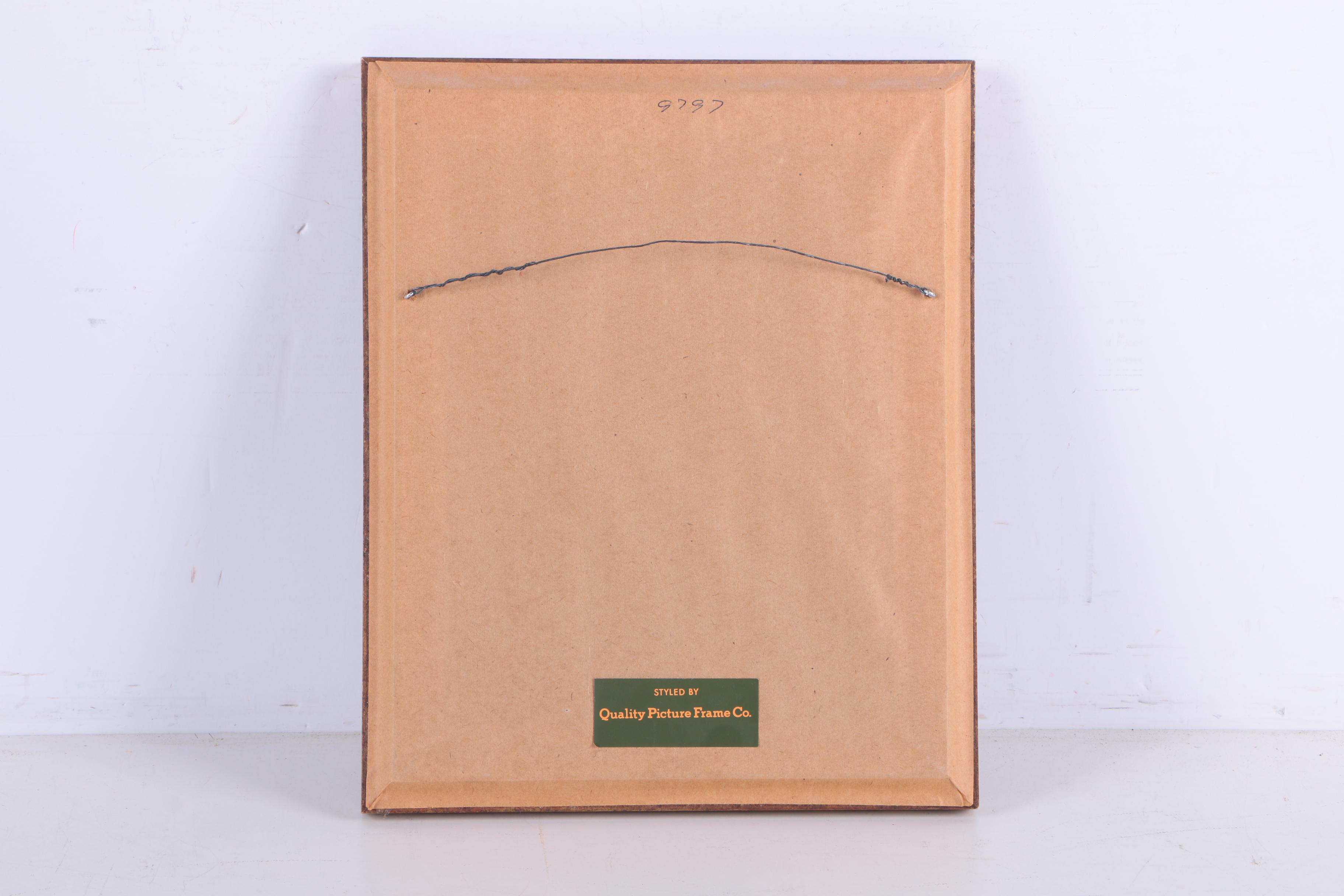 Hand Colored Lithographs of Botanical Studies and Butterflies