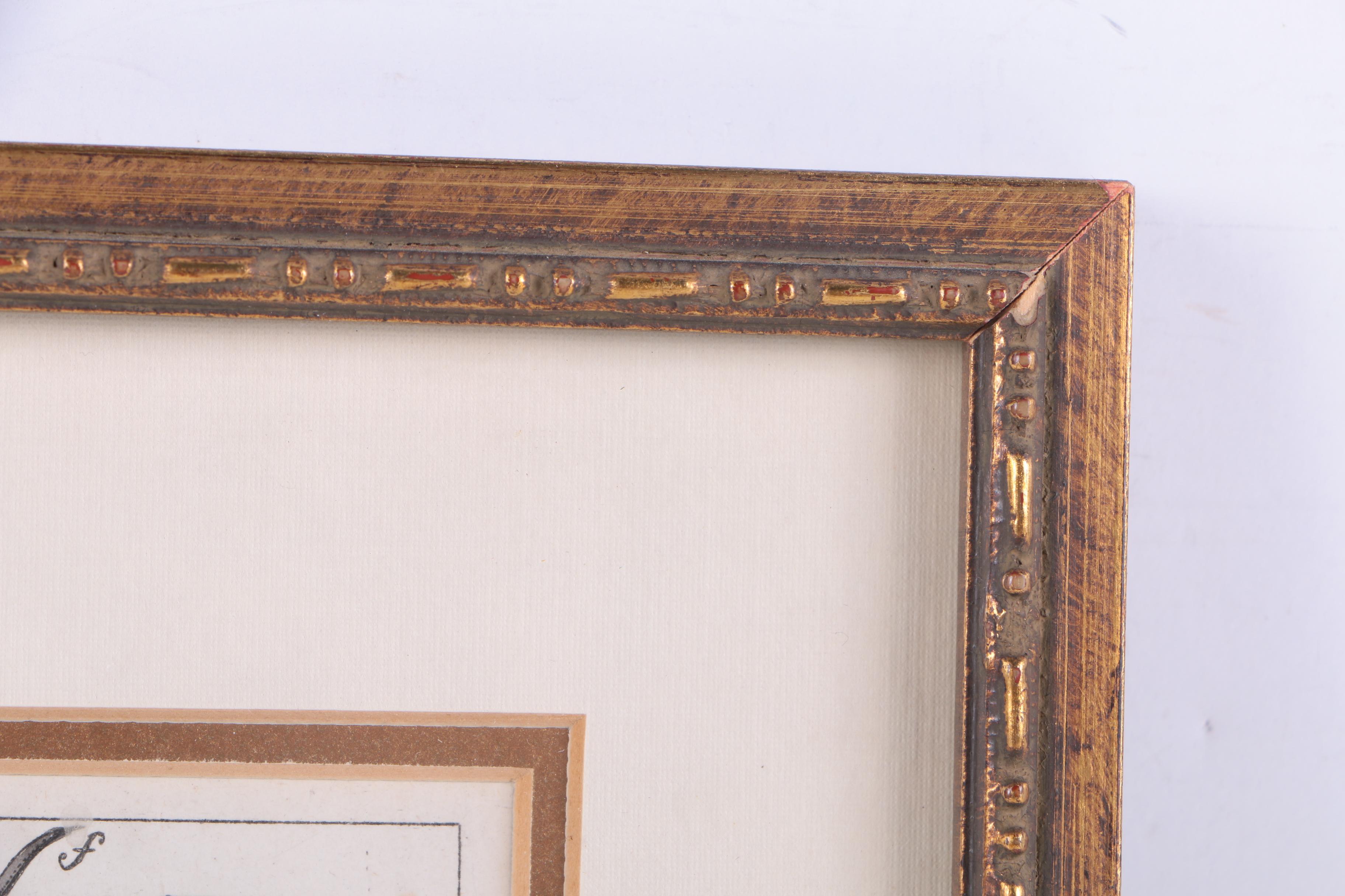 Hand Colored Engravings on Paper After J.J. Schmuzer of Insects