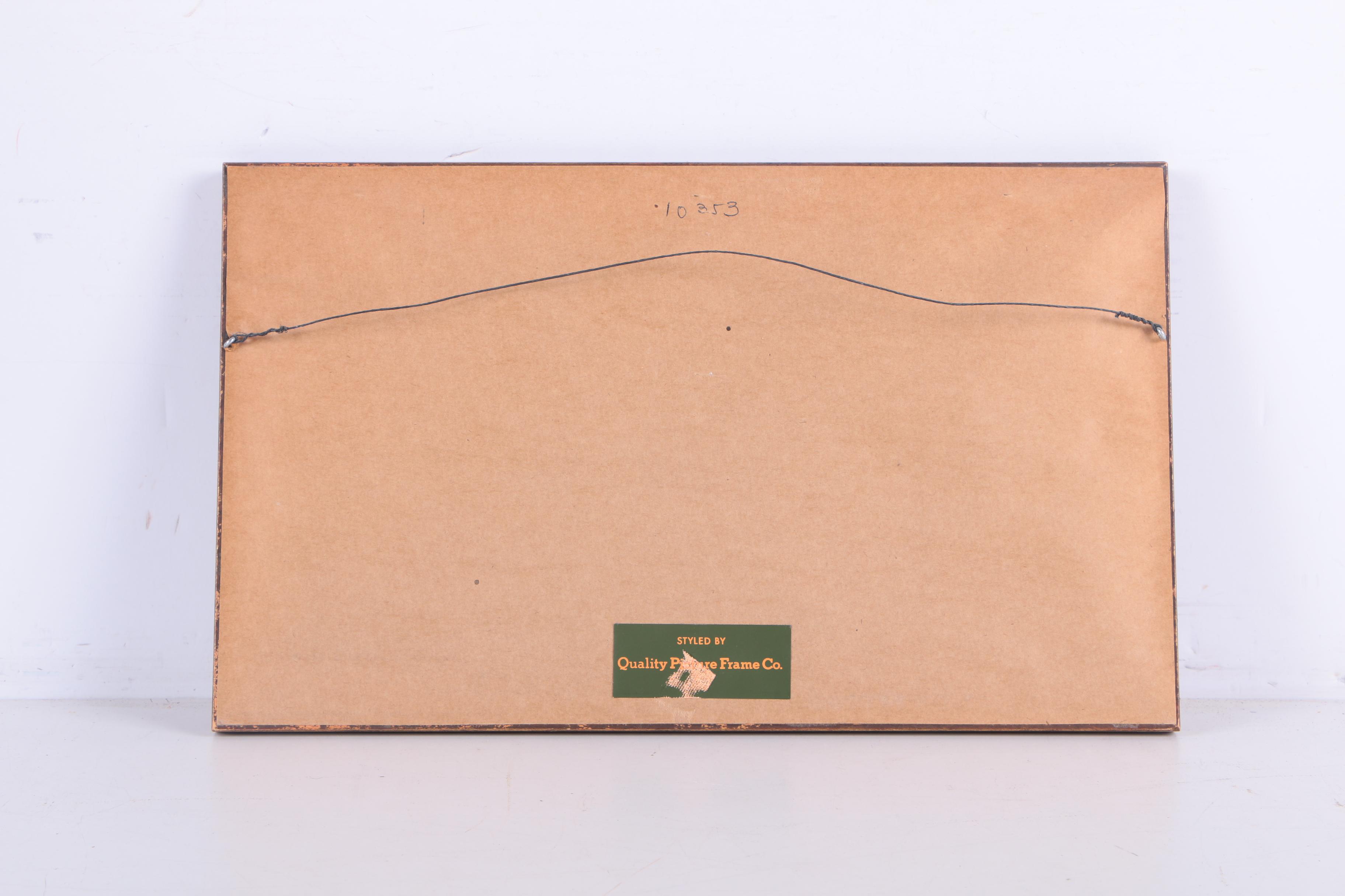 Hand Colored Engravings on Paper After J.J. Schmuzer of Insects