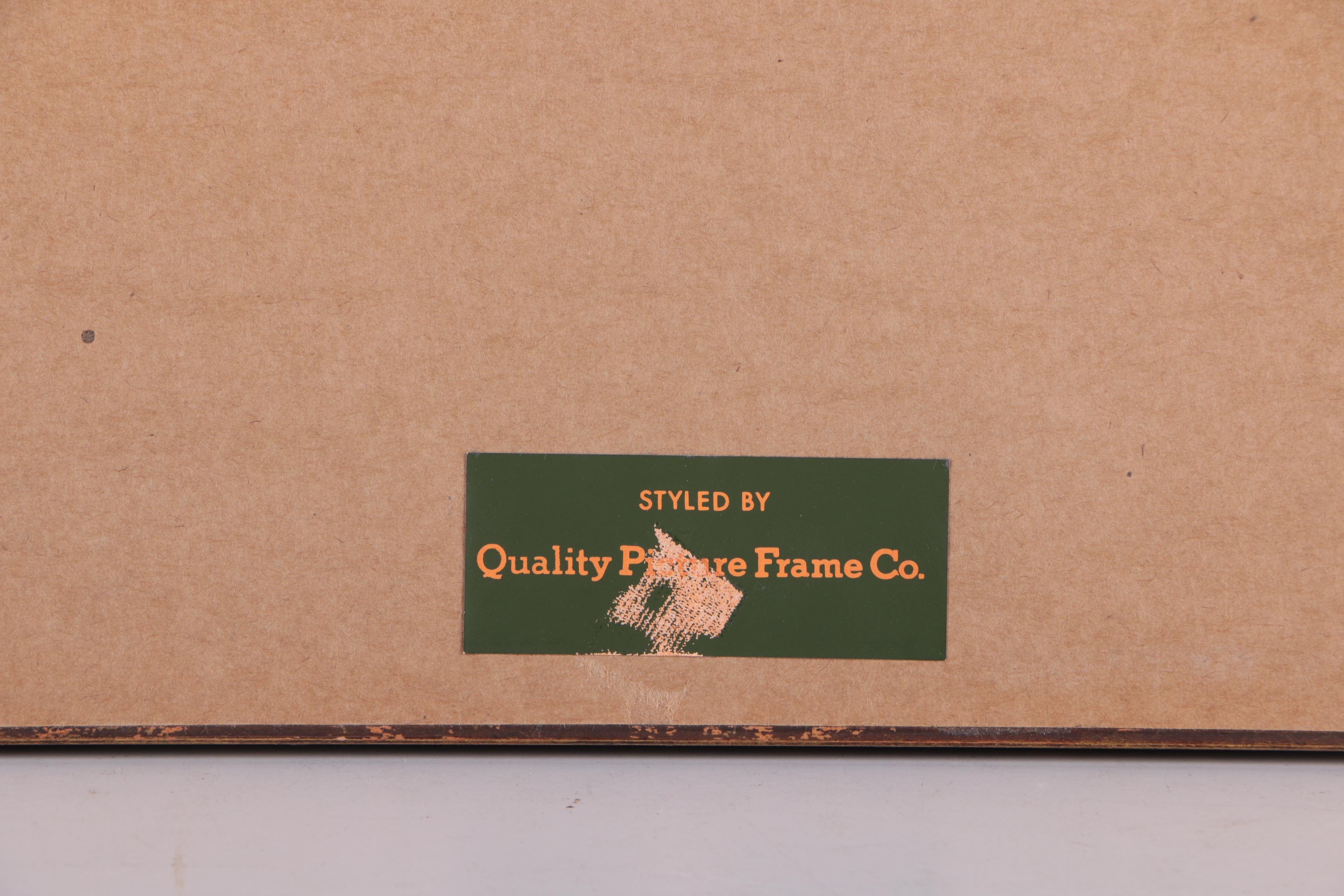 Hand Colored Engravings on Paper After J.J. Schmuzer of Insects