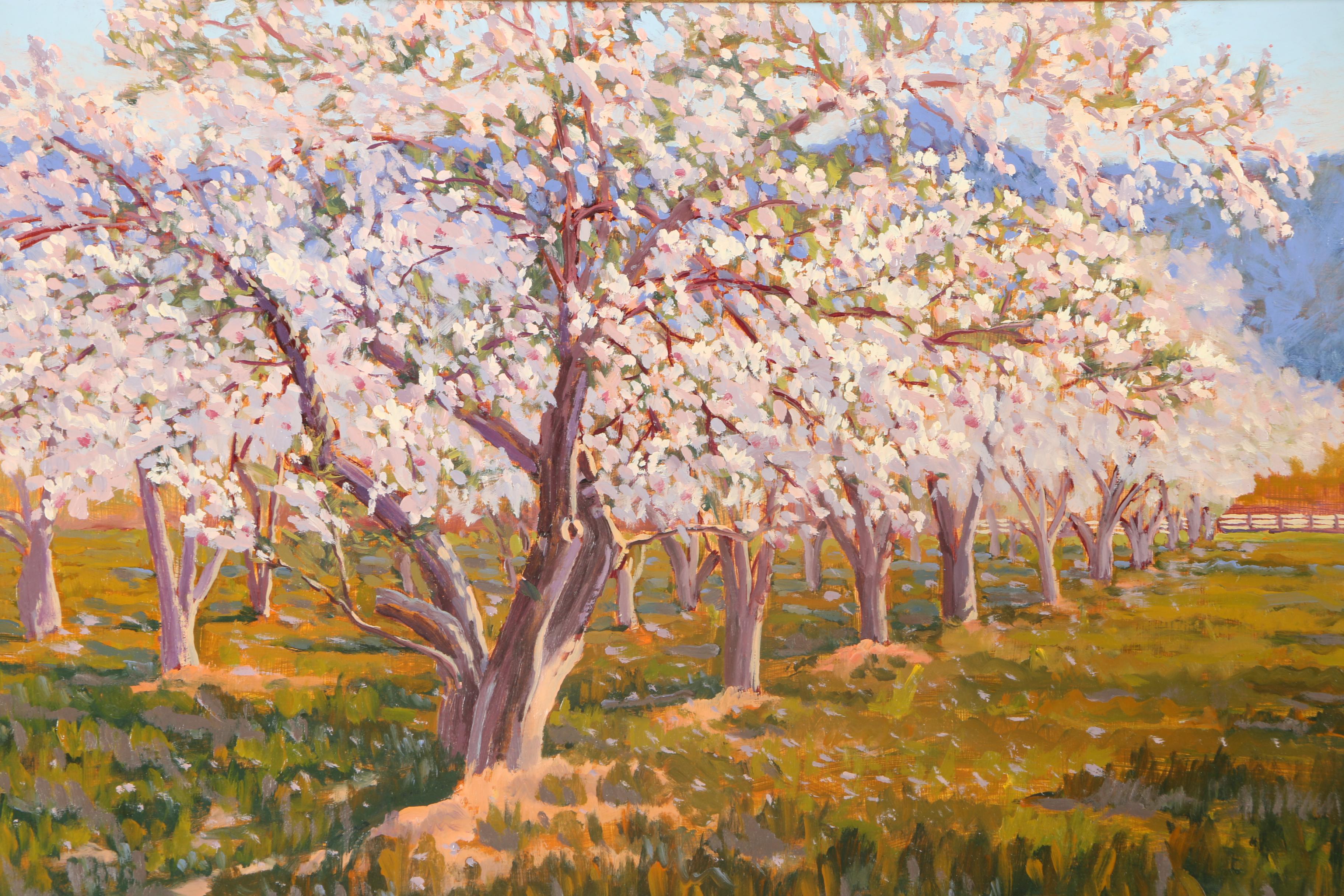 Signed Oil on Board Painting of Blossoming Apple Trees