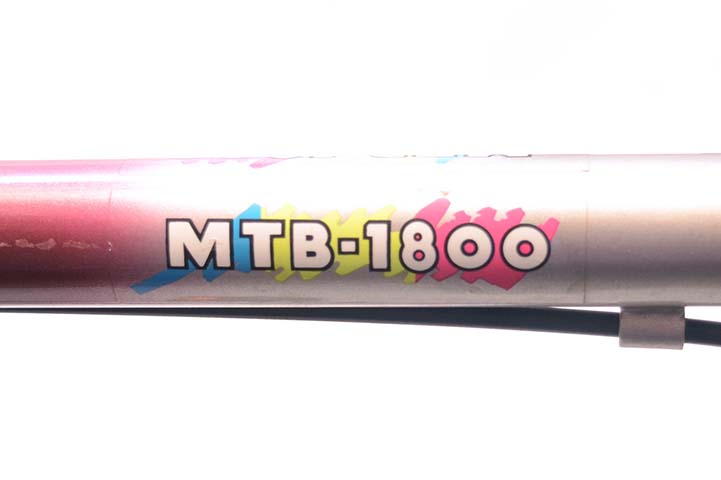 Men's Pacifico "Super Tai" Mountain Bike