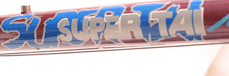 Men's Pacifico "Super Tai" Mountain Bike