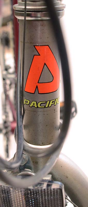 Men's Pacifico "Super Tai" Mountain Bike
