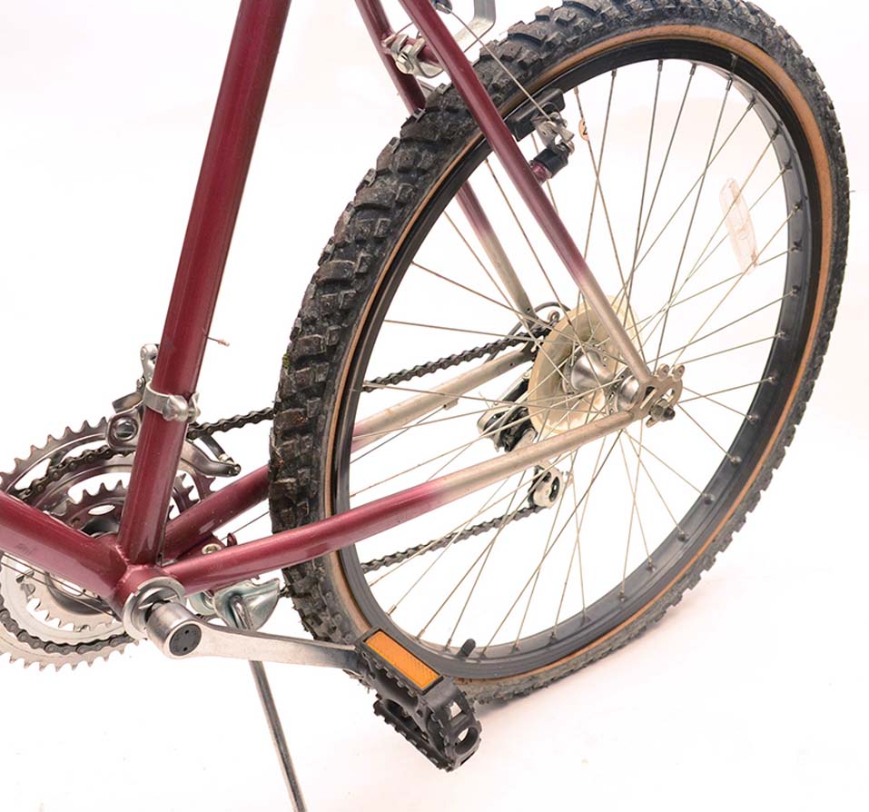 Men's Pacifico "Super Tai" Mountain Bike