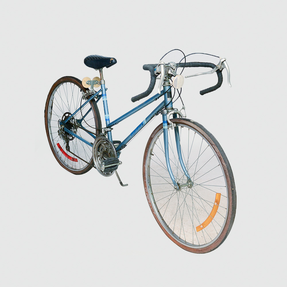 Vintage Ross Compact Road Bike