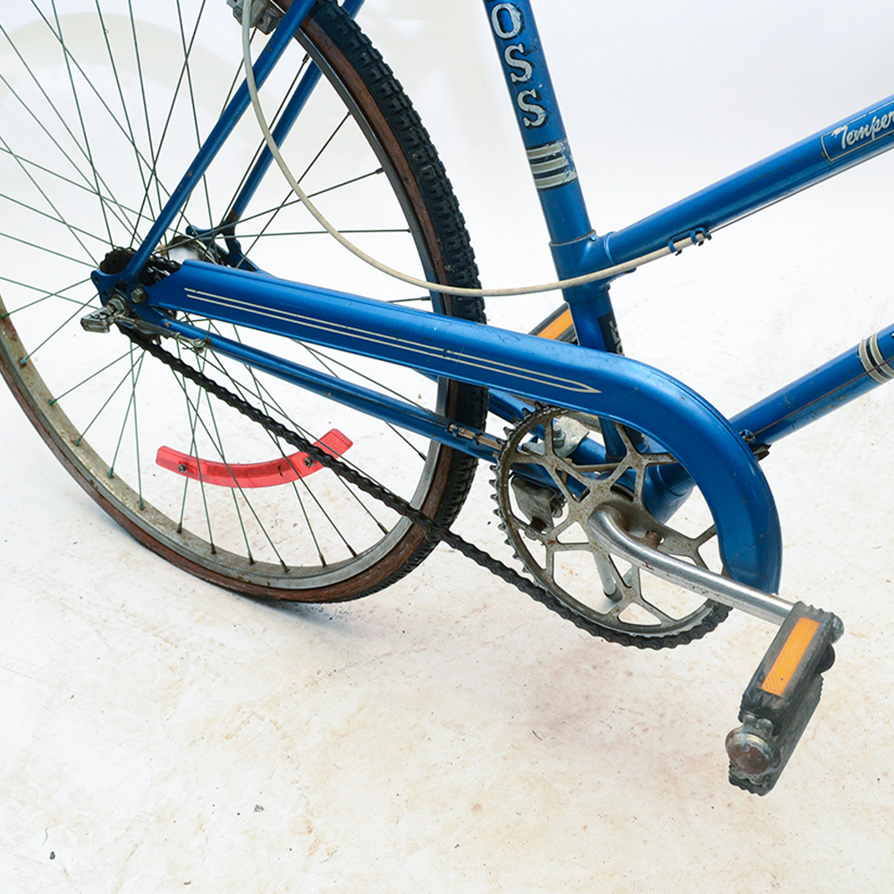 Vintage Ross Eurotour 3-Speed Bicycle