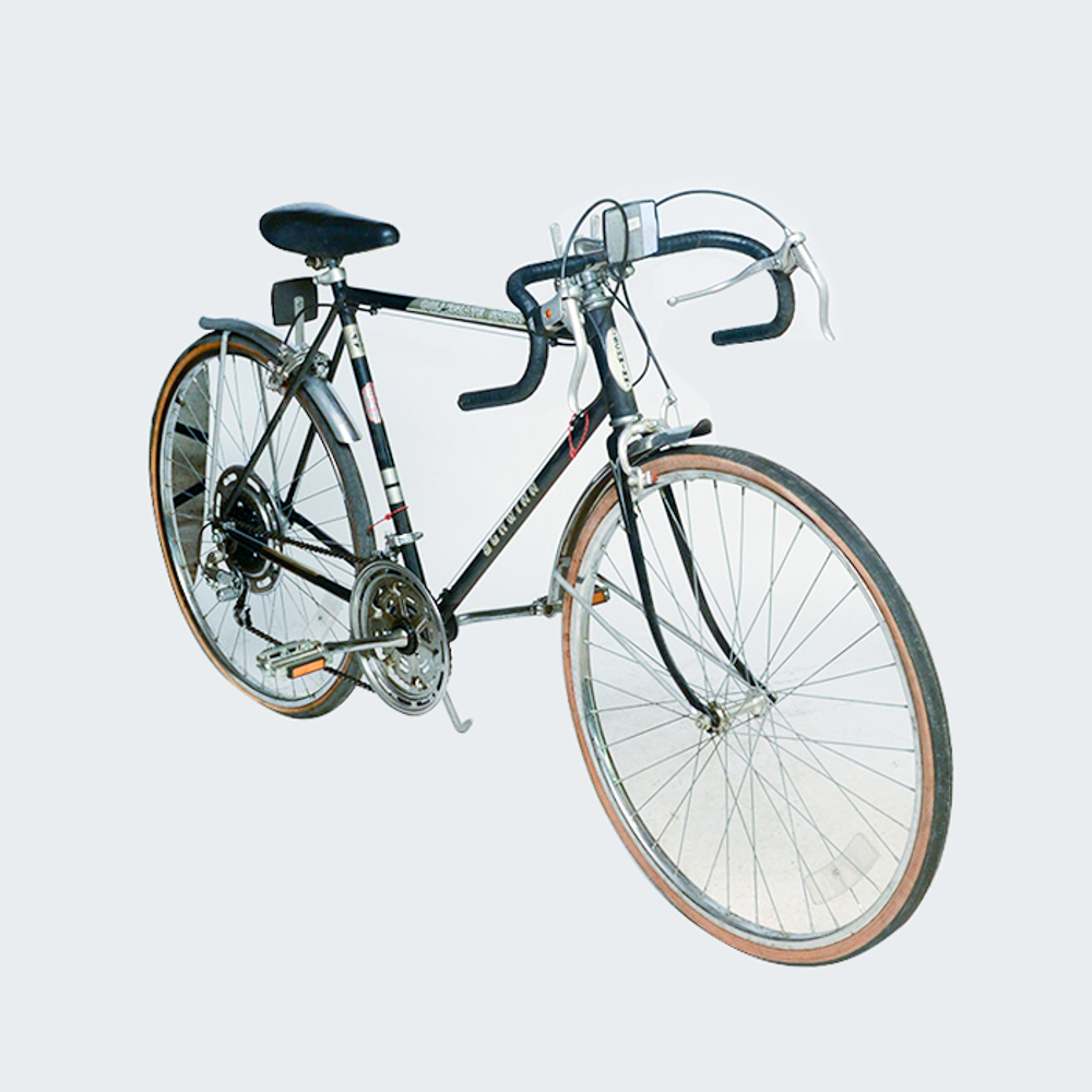 Schwinn collegiate sales sport 10