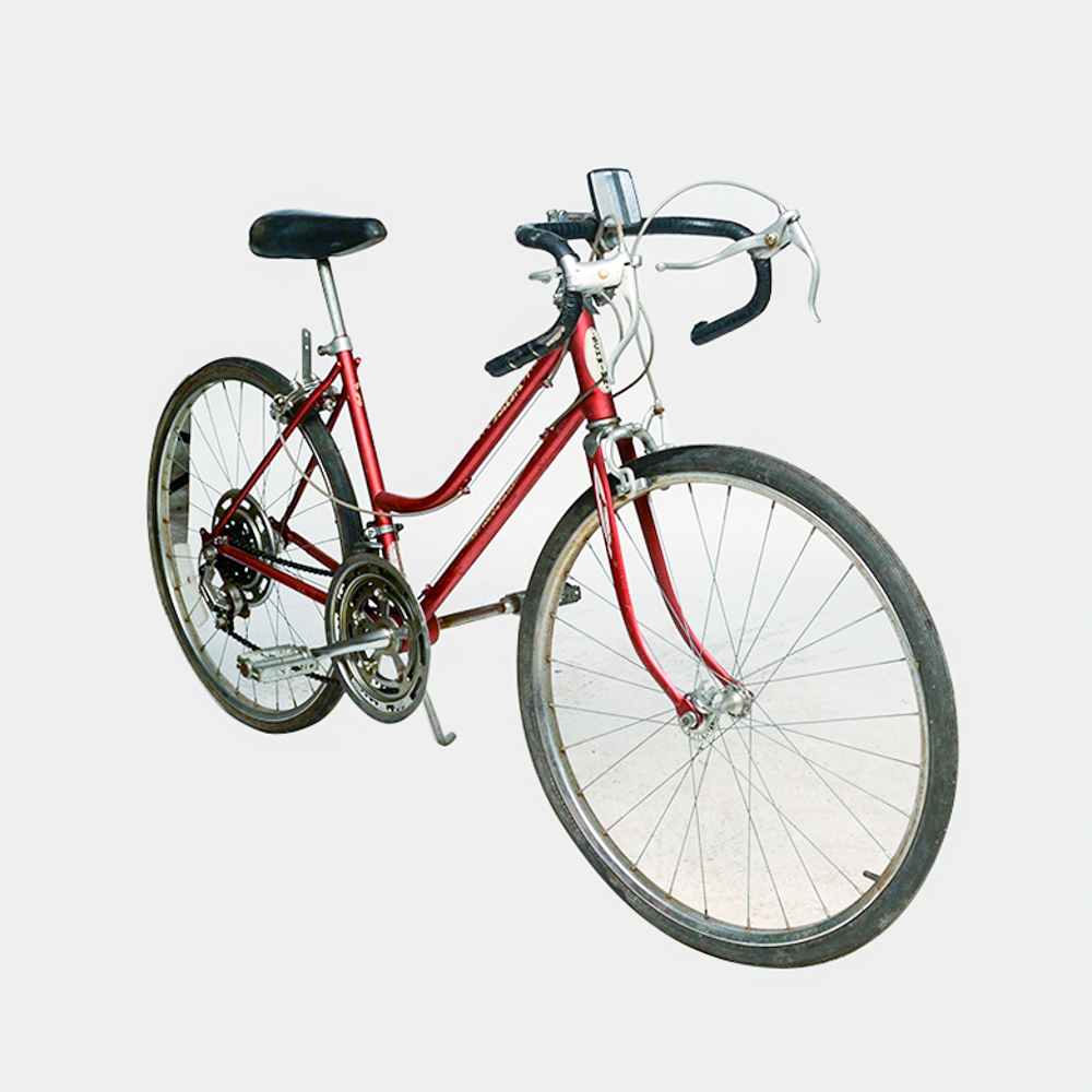 Vintage Schwinn Road Bicycle