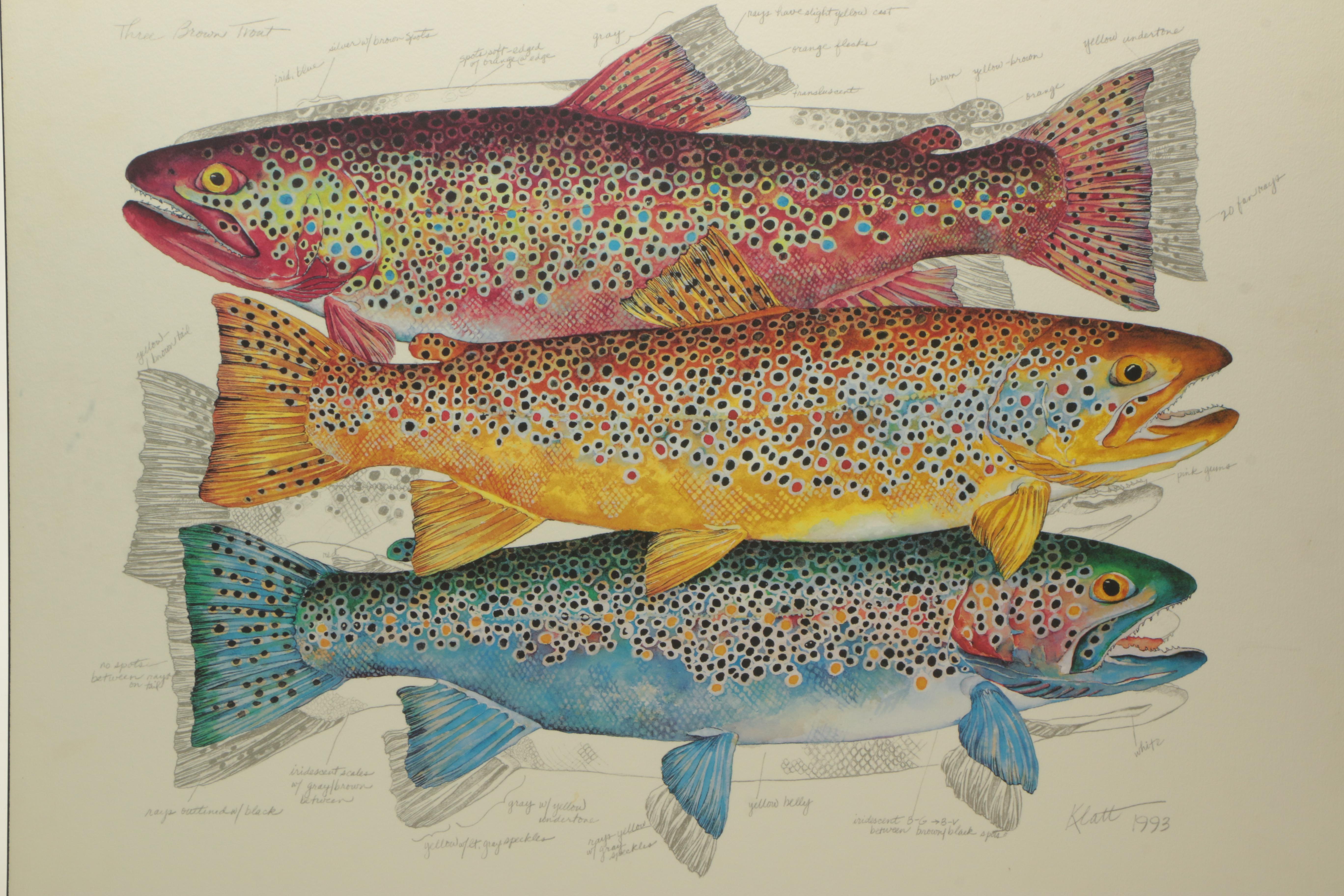 Offset Lithograph on Board After Eileen Klatt "Three Brown Trout"